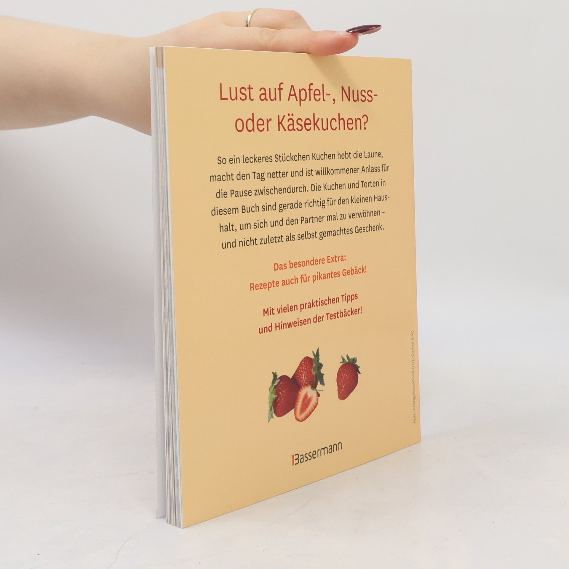 Autorenkollektiv Kleine Kuchen und Torten