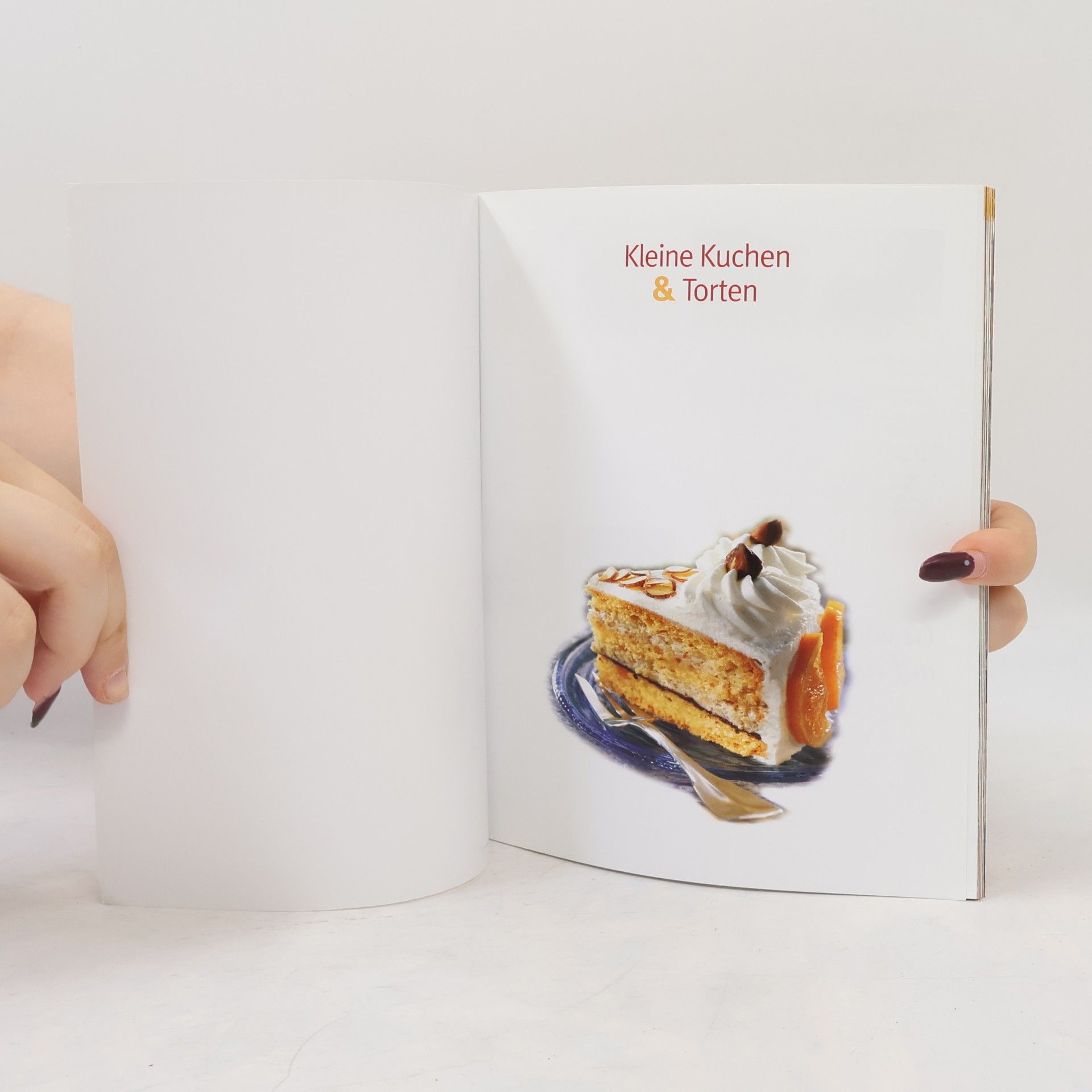 Autorenkollektiv Kleine Kuchen und Torten