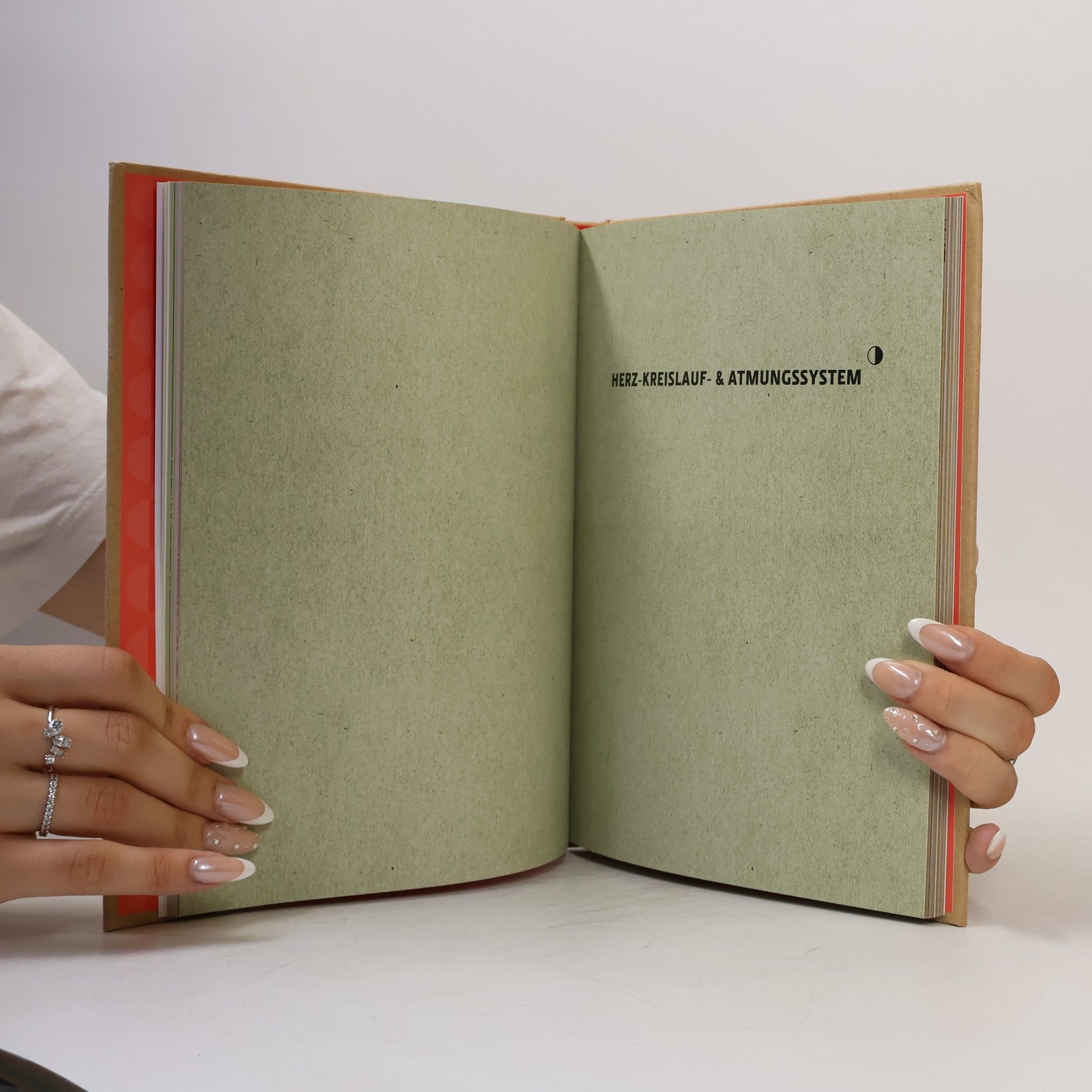 Gabrielle M. Finn Anatomie in 30 Sekunden
