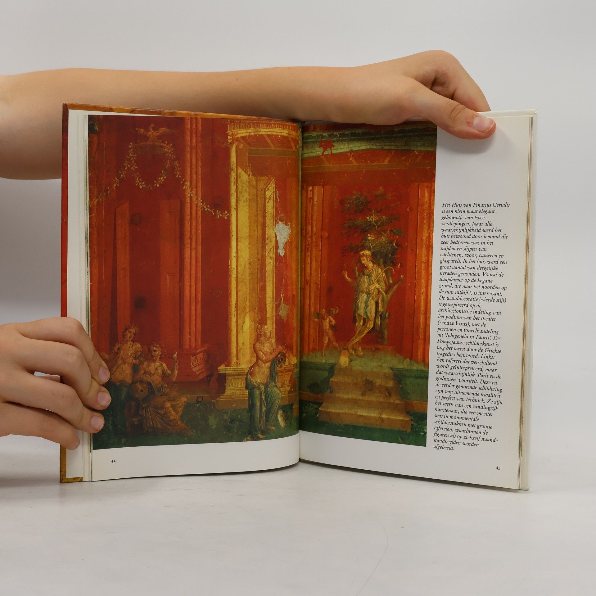 Domenico Rea Atrium cultuurgidsen: De fresco's van Pompeji