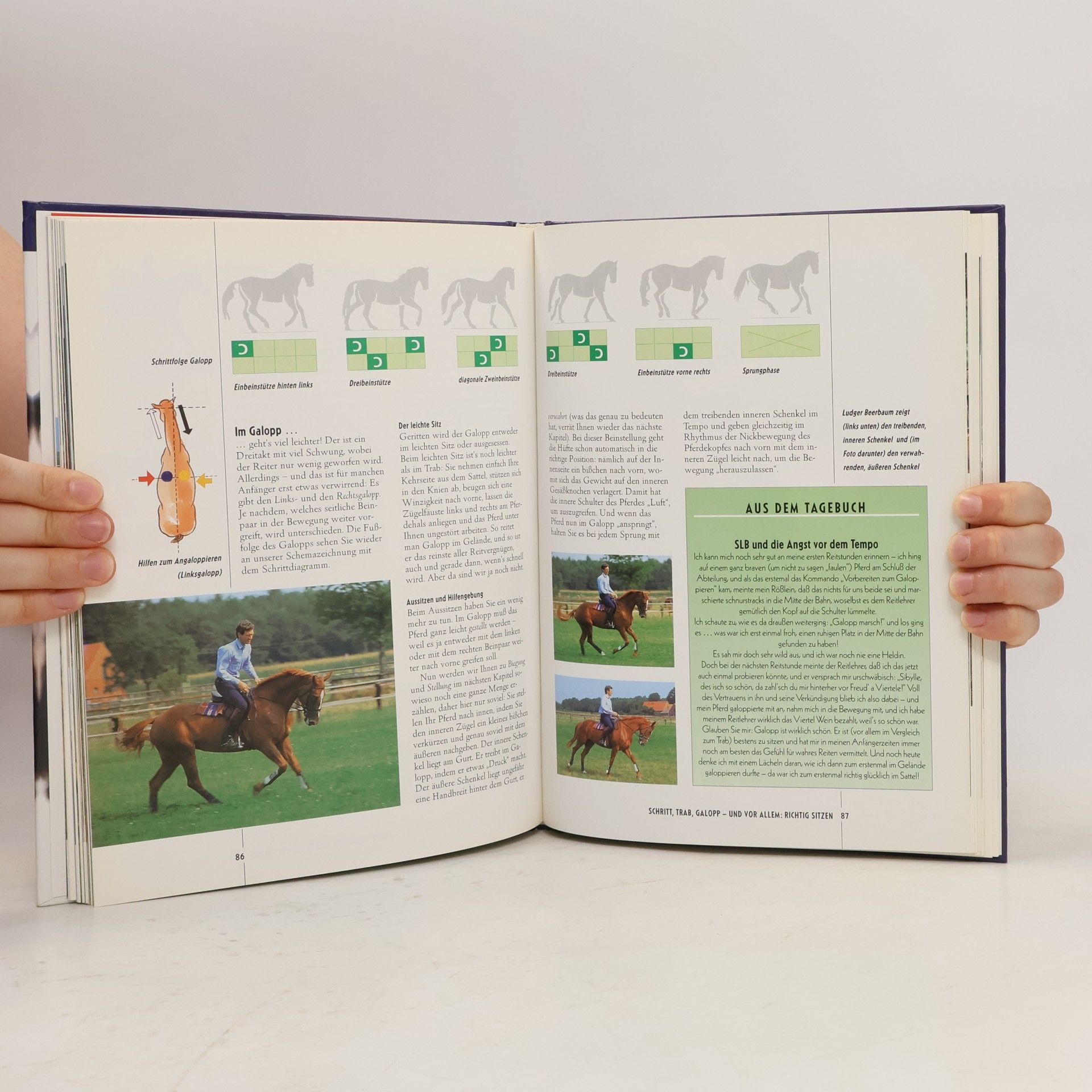 Sibylle Luise Binder Reiten lernen