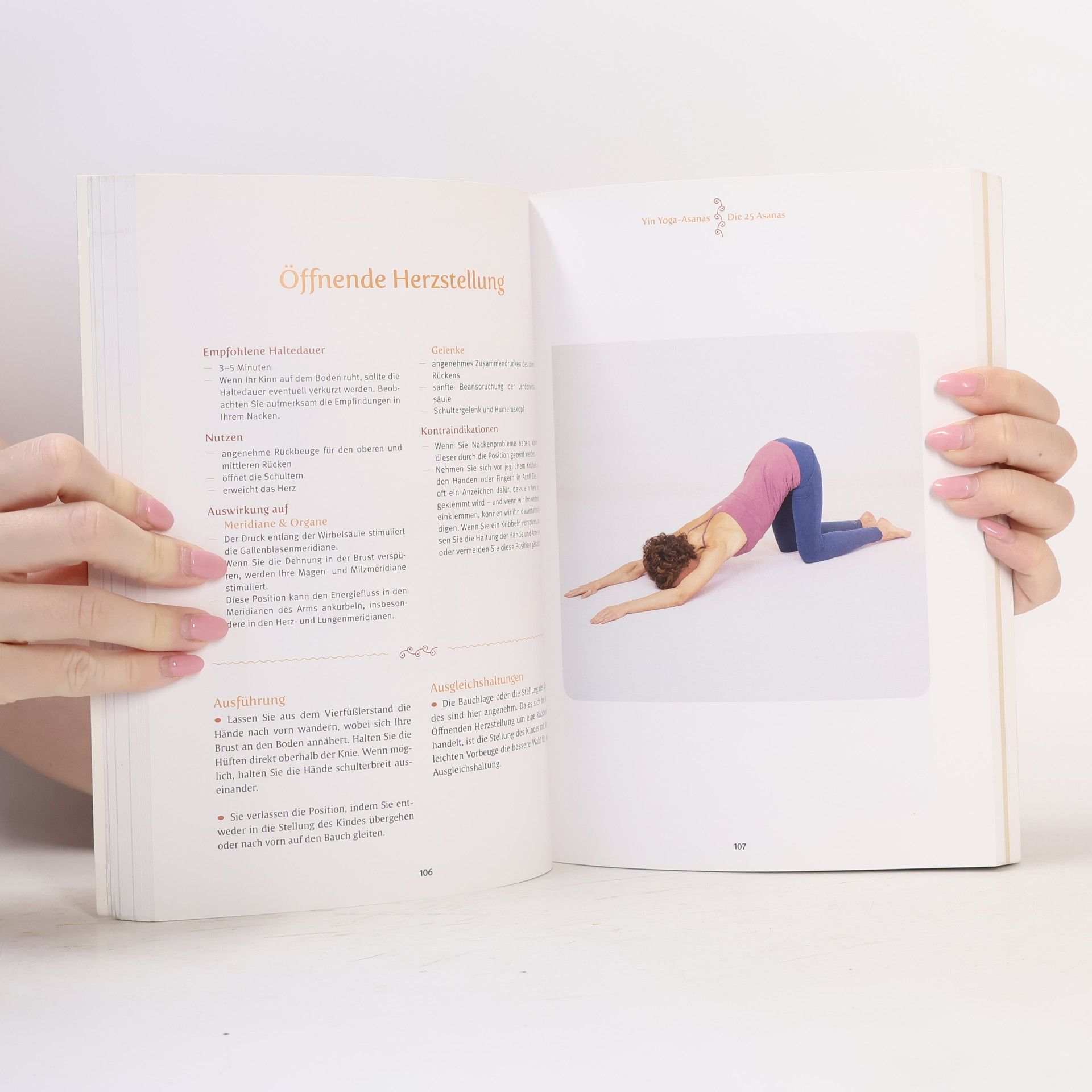 Bernie Clark Das große Yin Yoga-Buch