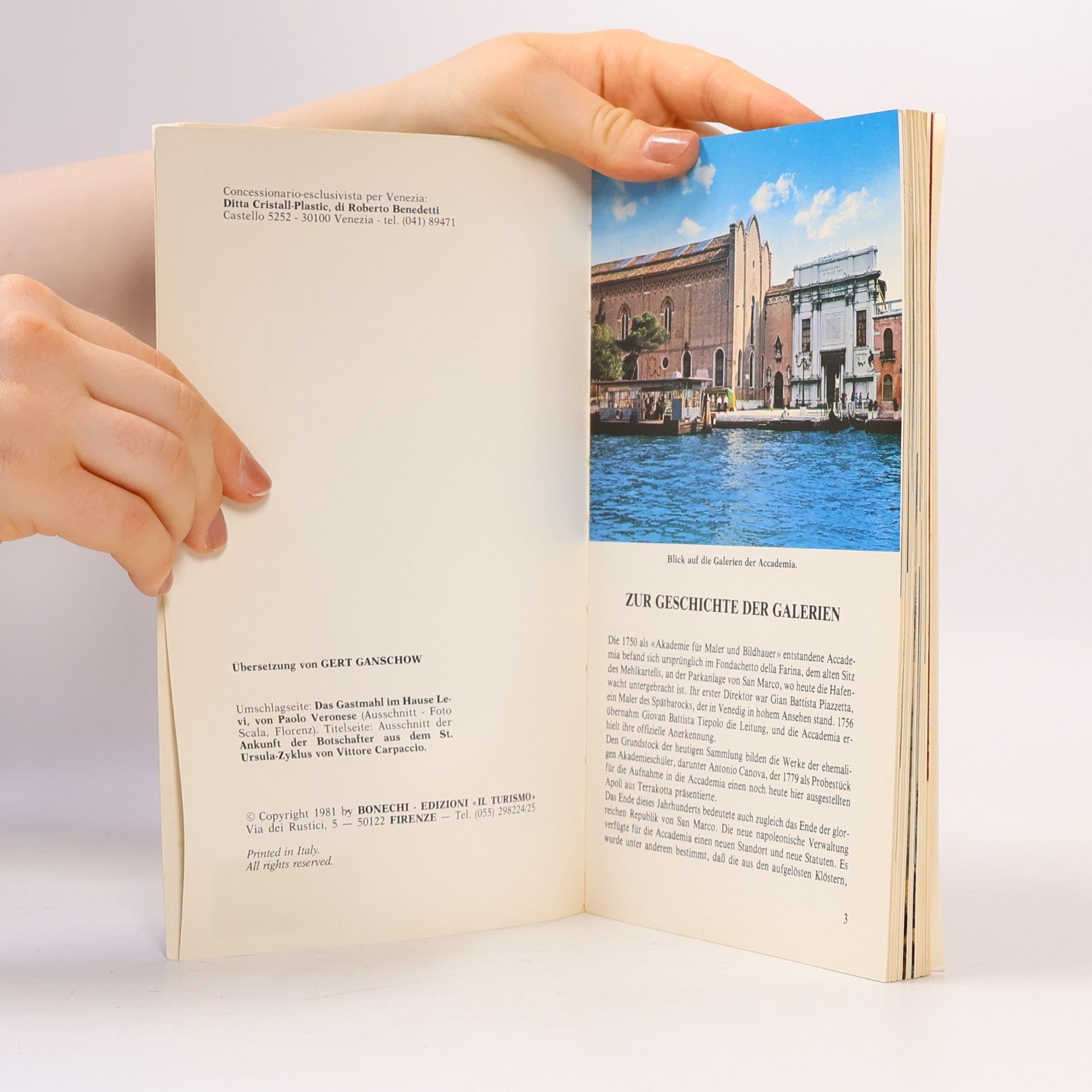 Autorenkollektiv Die Galerien dell'Accademia