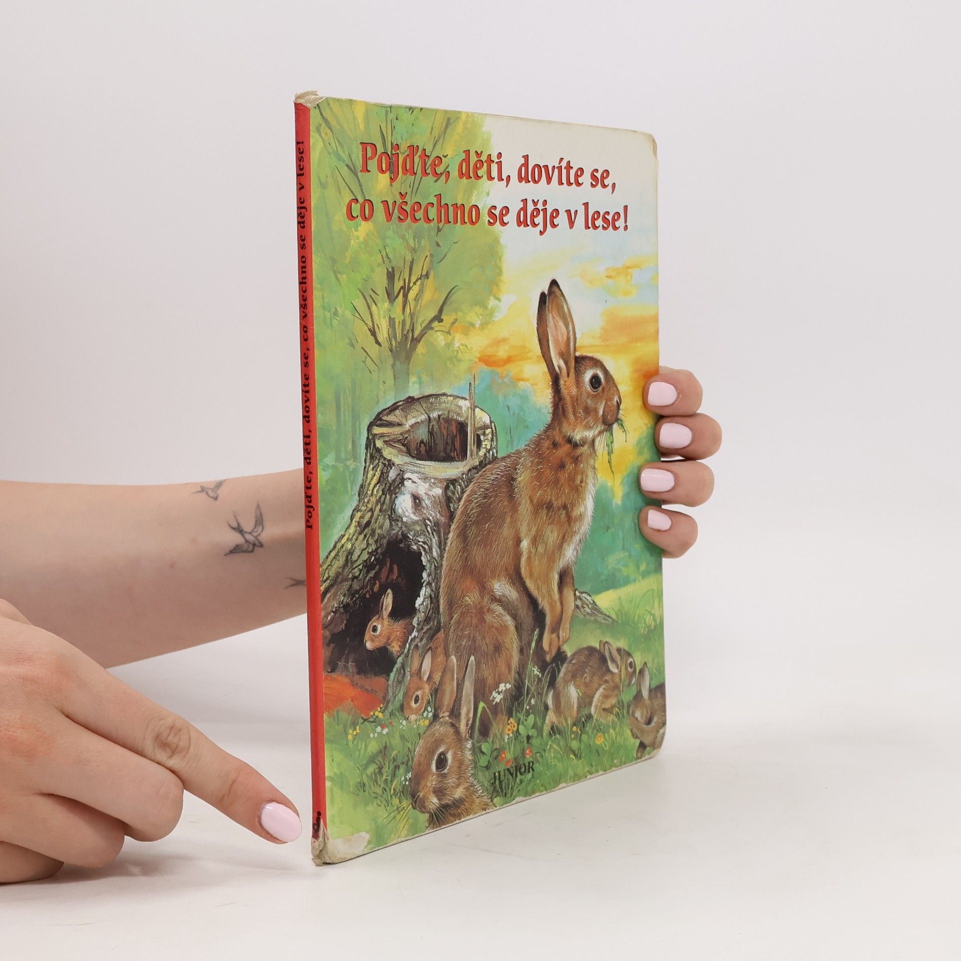 Autorenkollektiv Pojďte, děti, dovíte se, co všechno se dějě v lese!