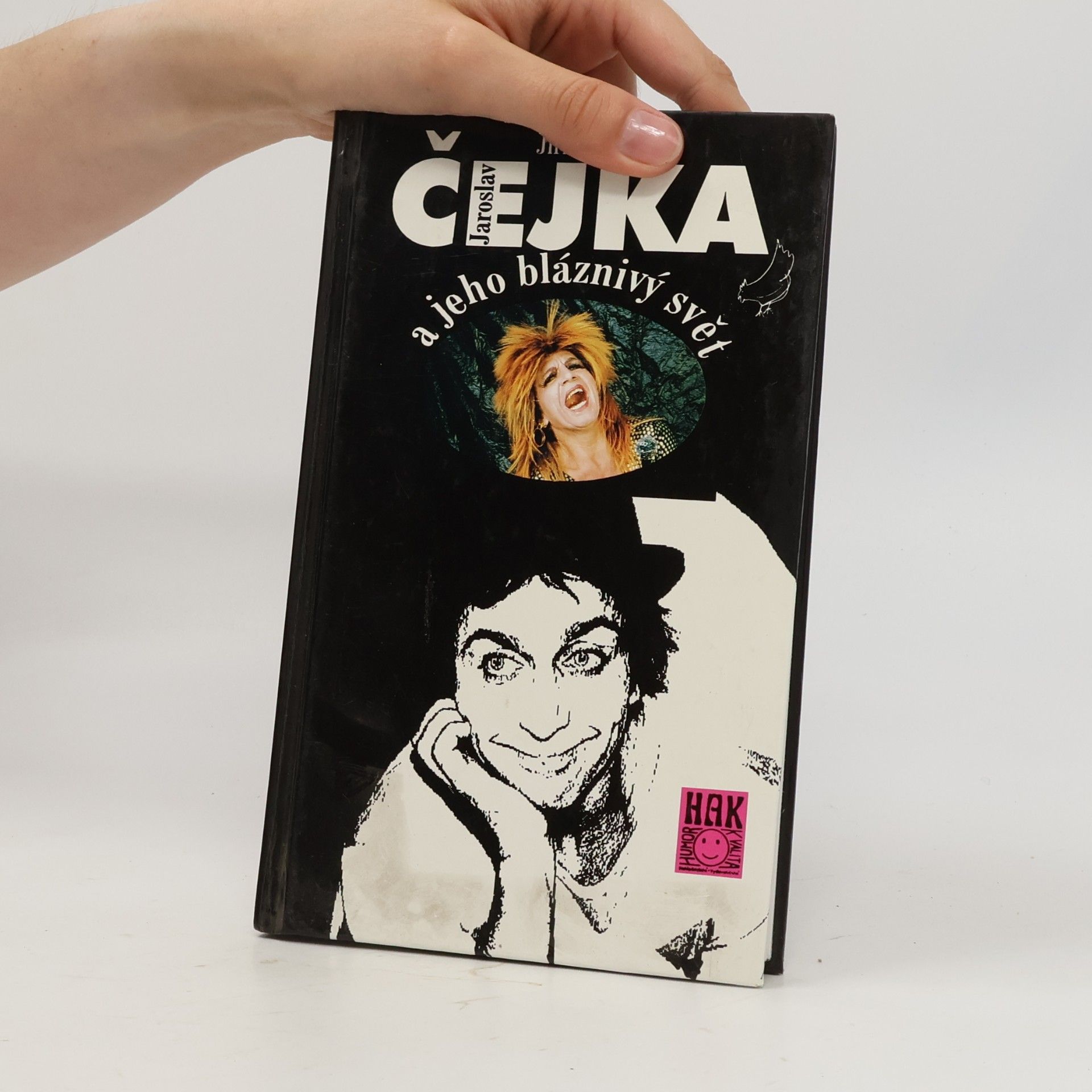 Jiří Siegel Jaroslav Čejka a jeho bláznivý svět