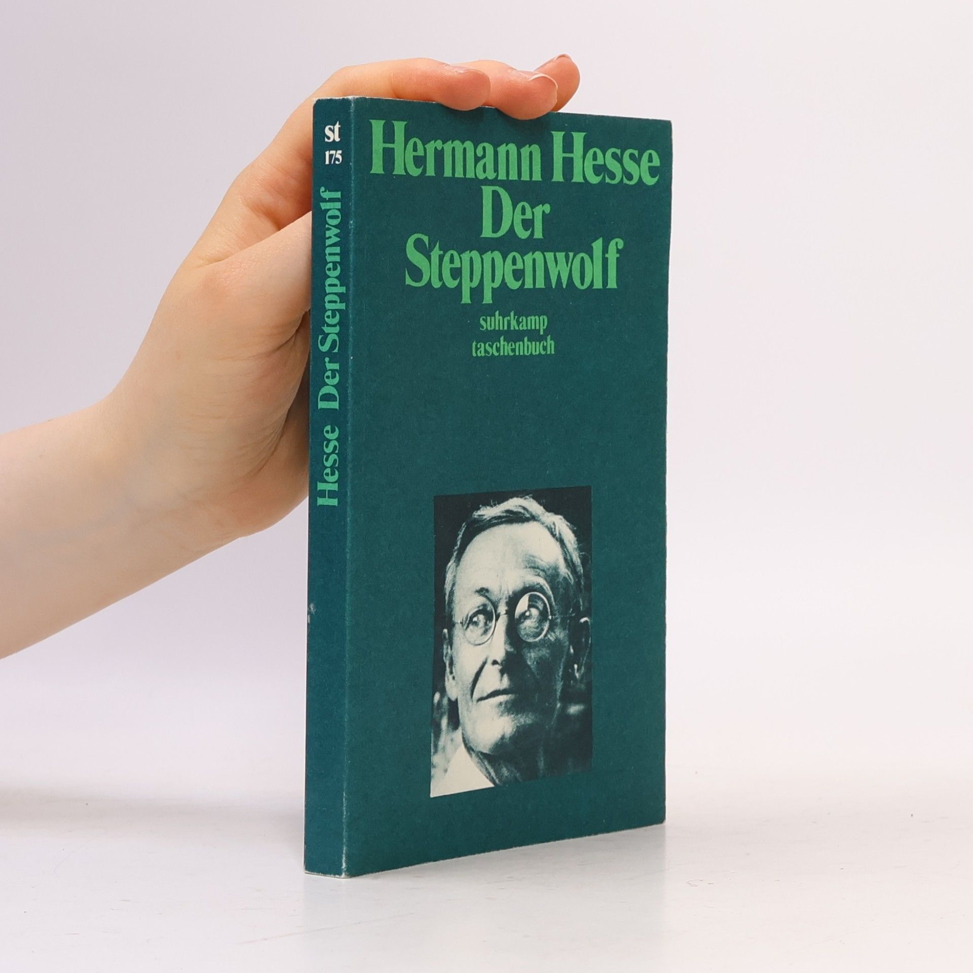 Hermann Hesse Der Steppenwolf