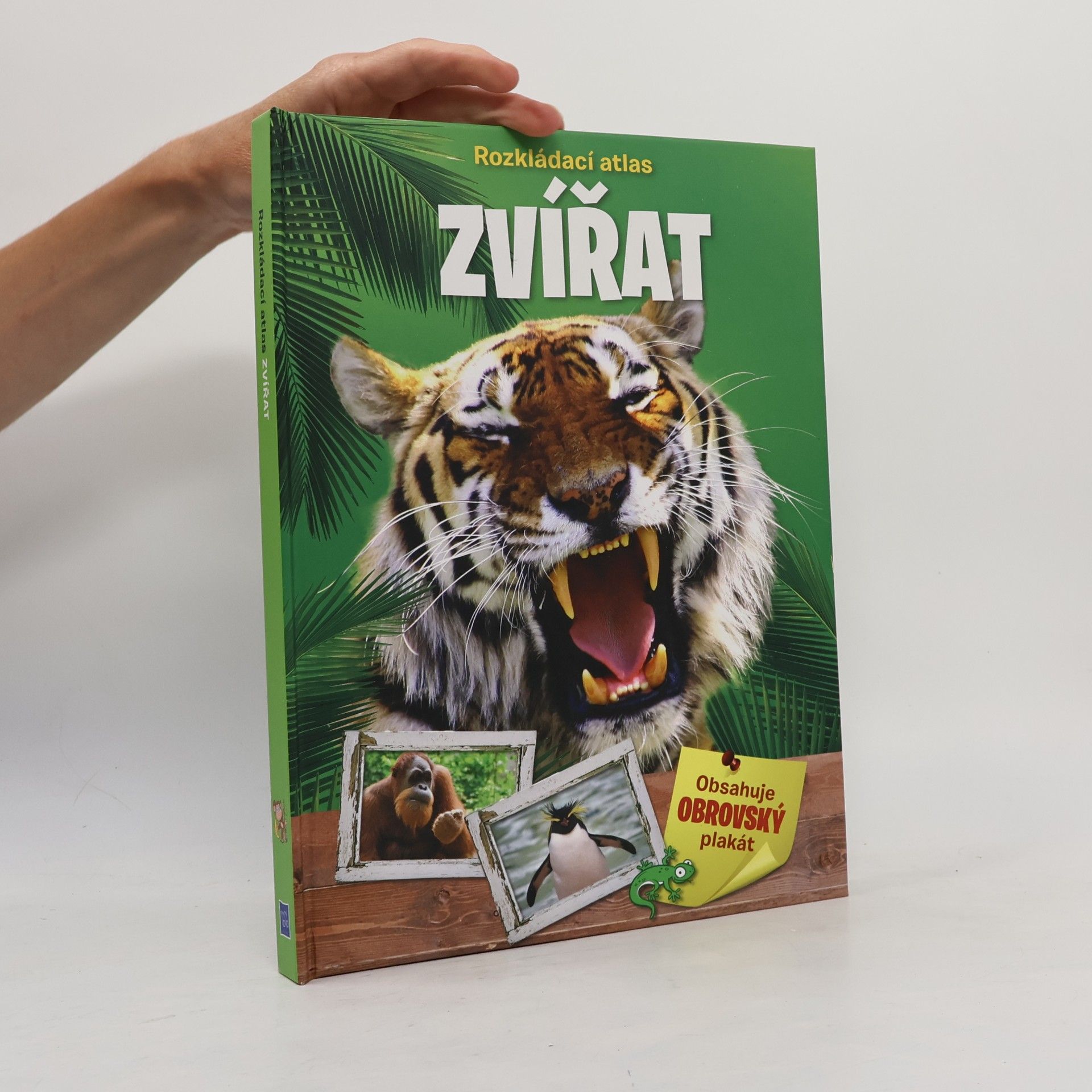 Autorenkollektiv Rozkládací atlas Zvířata