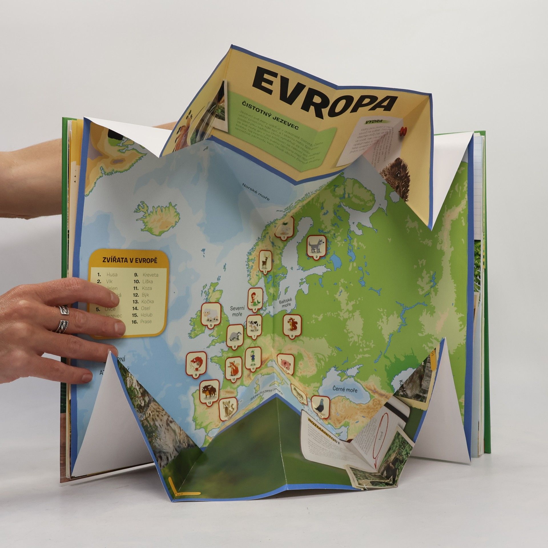 Kolektiv autorů Rozkládací atlas Zvířata