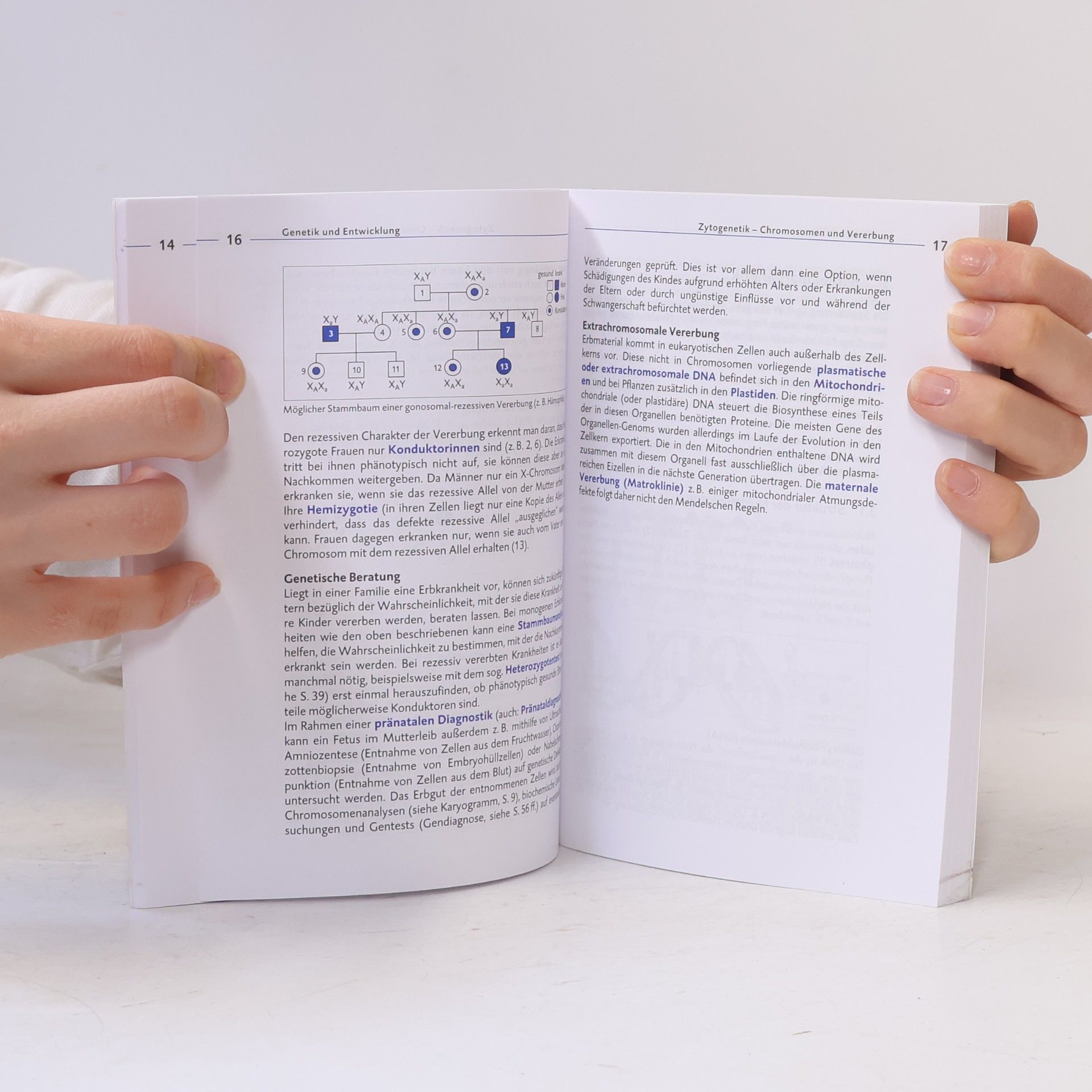 Hans-Dieter Triebel Biologie-KOMPAKT 2