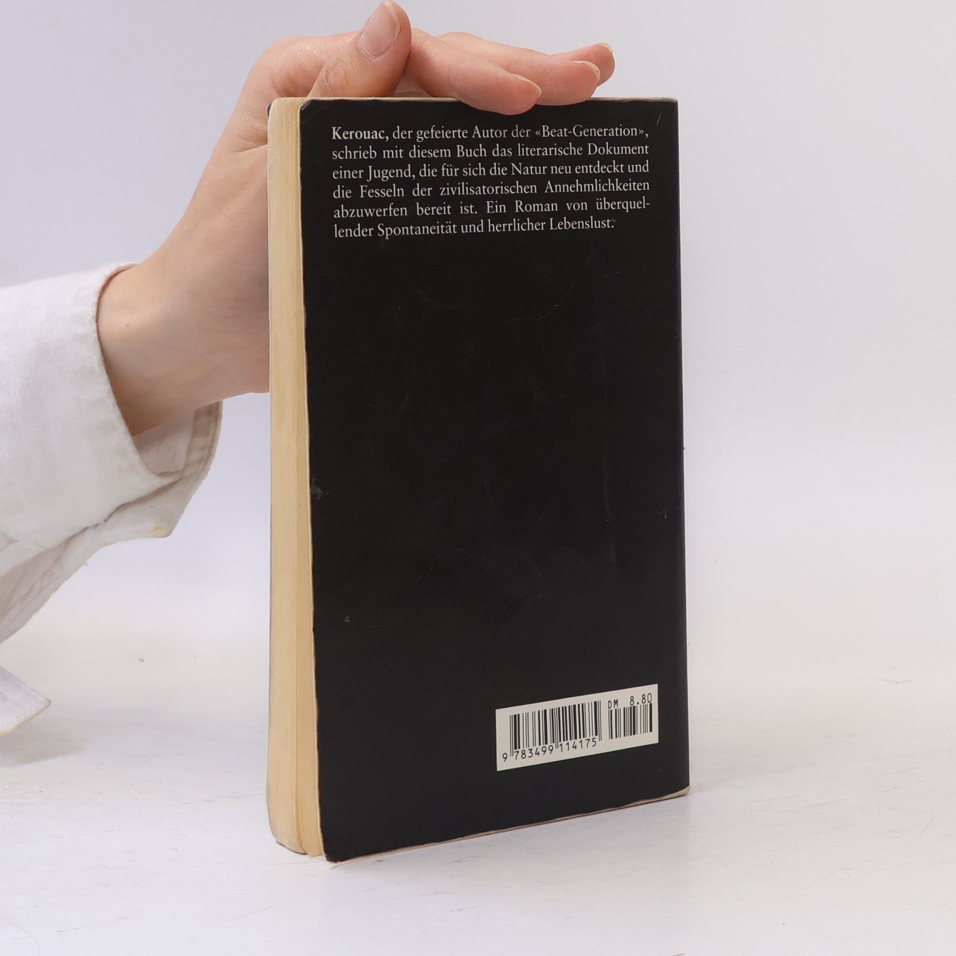 Jack Kerouac Gammler, Zen und hohe Berge