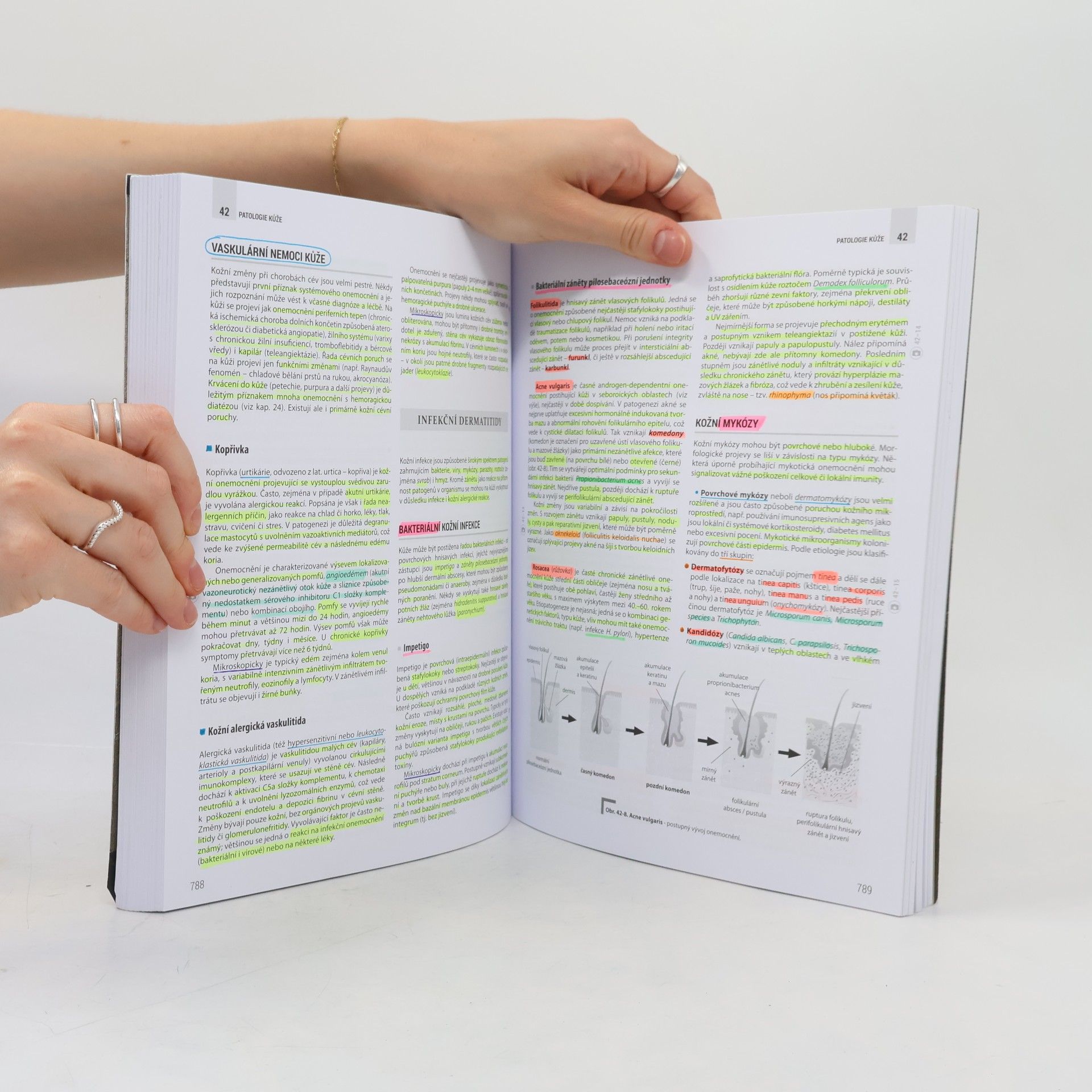 Autores varios Patologie 1-3