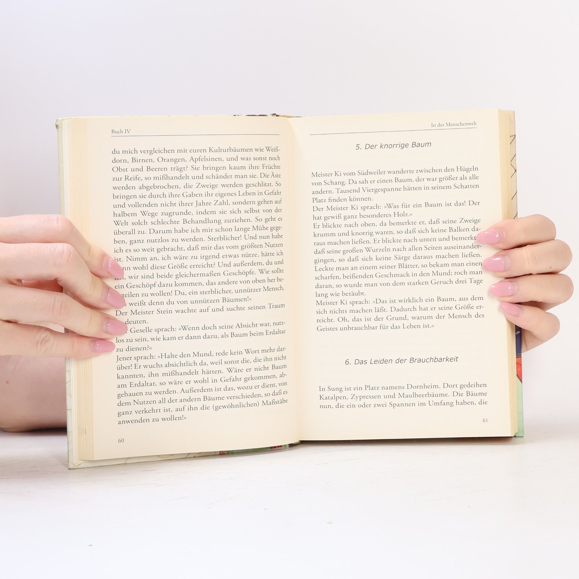Zhuangzi Das wahre Buch vom südlichen Blütenland