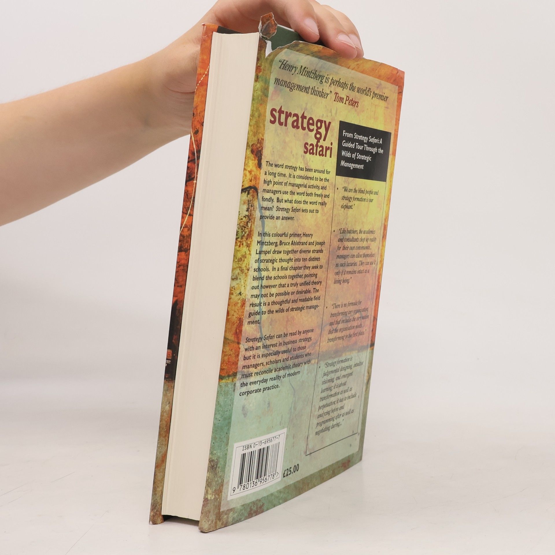 Henry Mintzberg Storch Strategy Safari