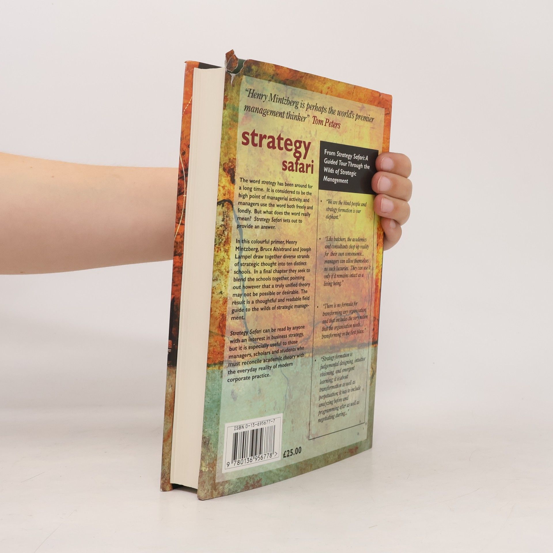Henry Mintzberg Storch Strategy Safari