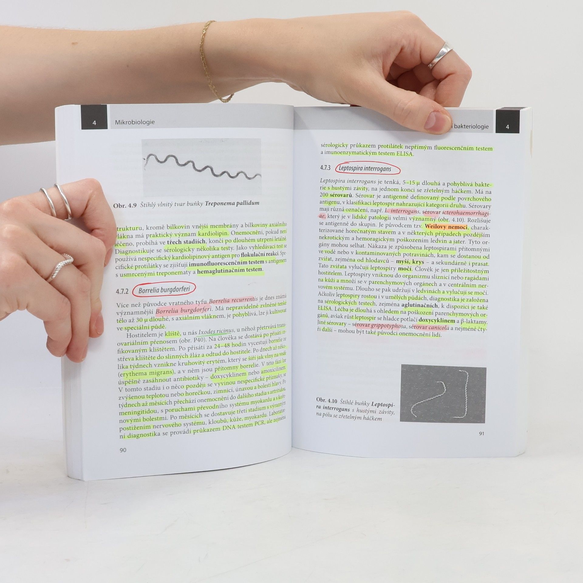 Jiří Schindler Mikrobiologie : pro studenty zdravotnických oborů