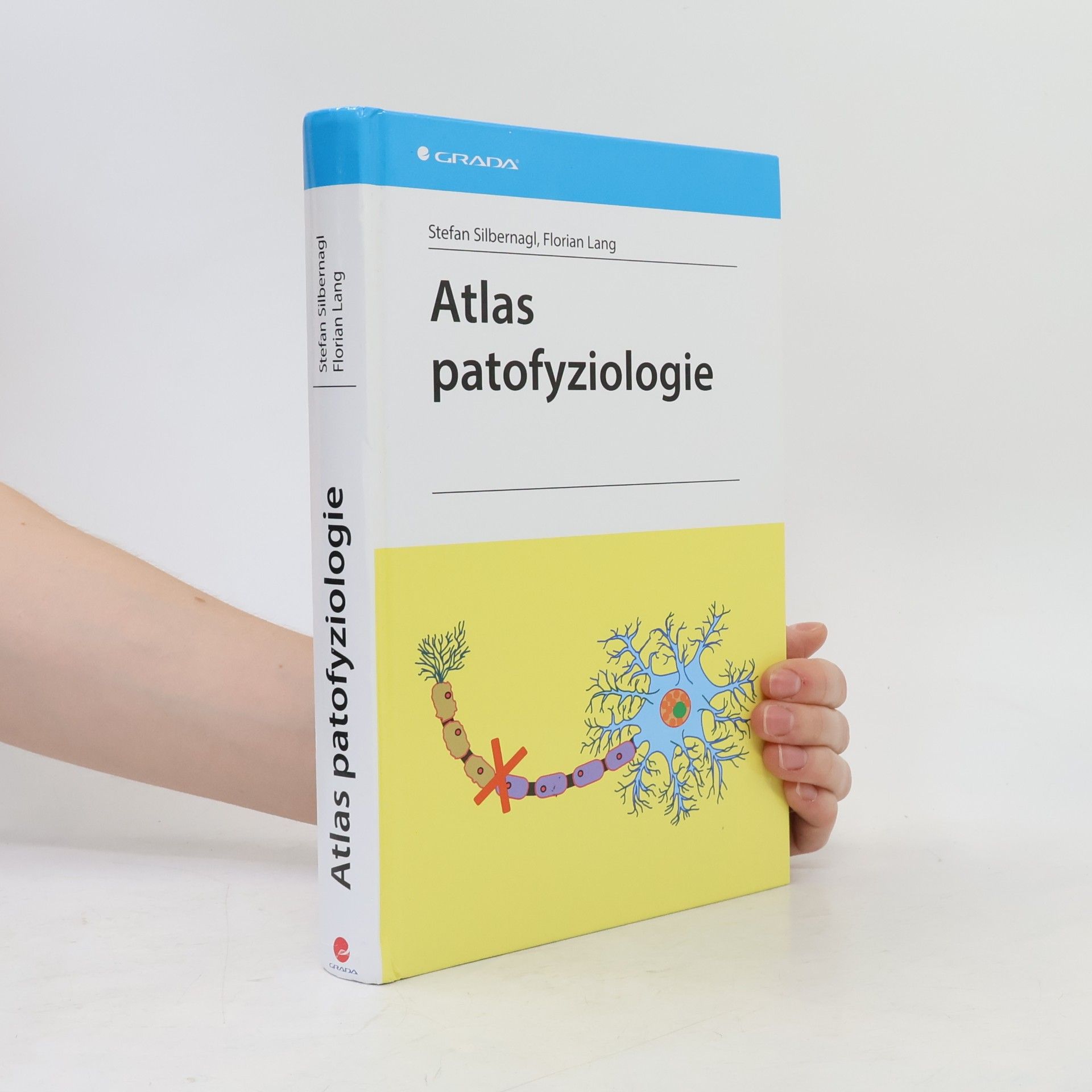 Stefan Silbernagl Atlas patofyziologie