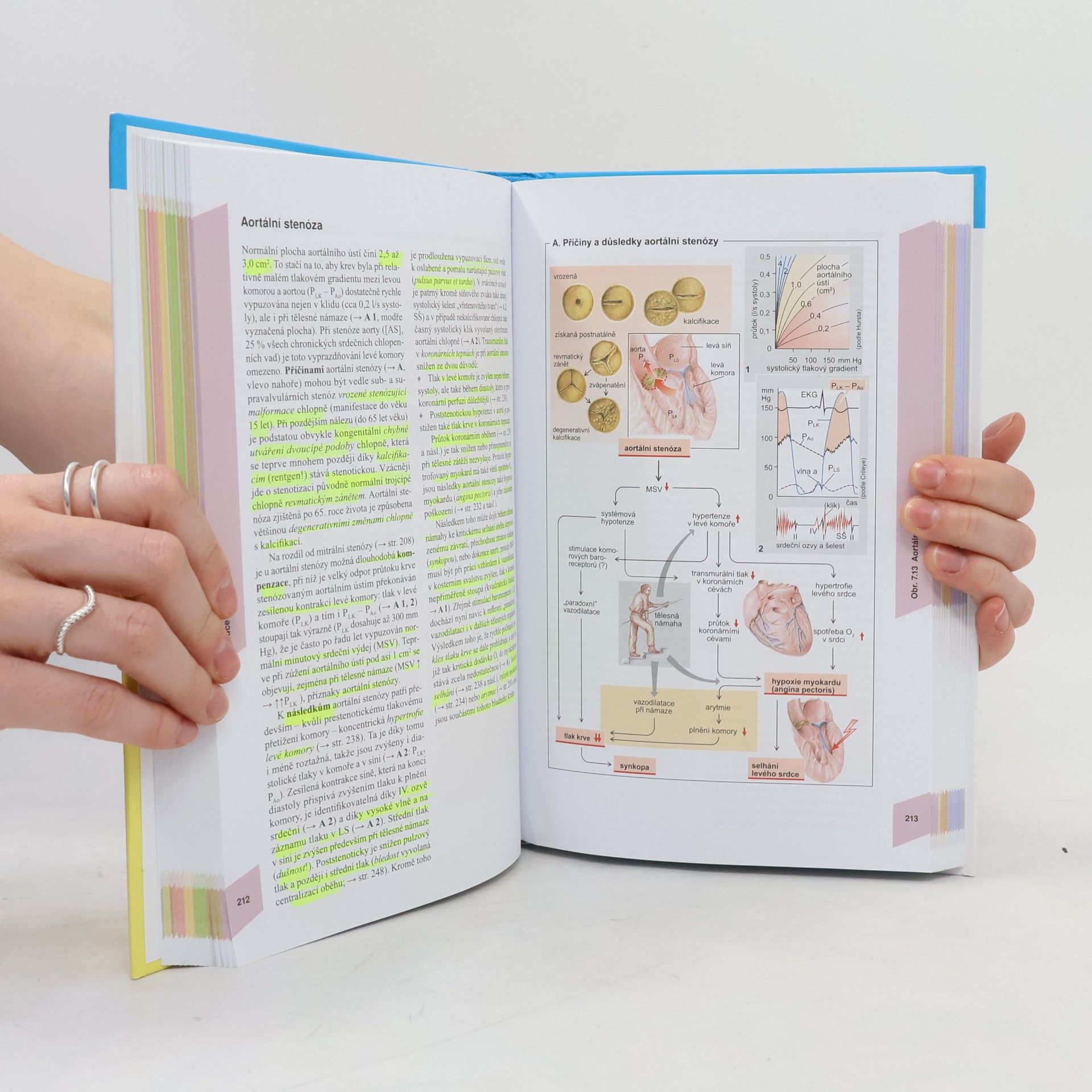 Stefan Silbernagl Atlas patofyziologie