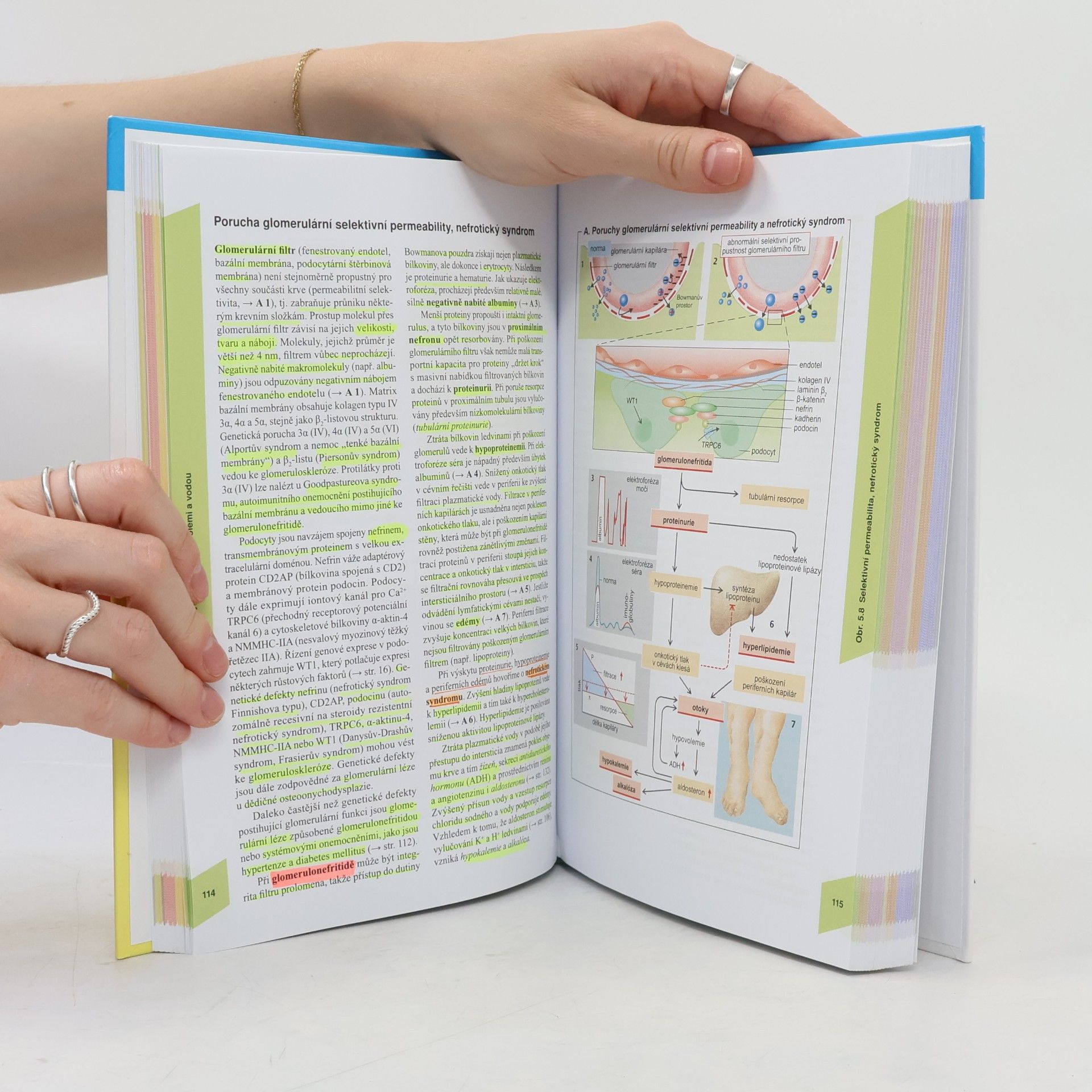 Stefan Silbernagl Atlas patofyziologie