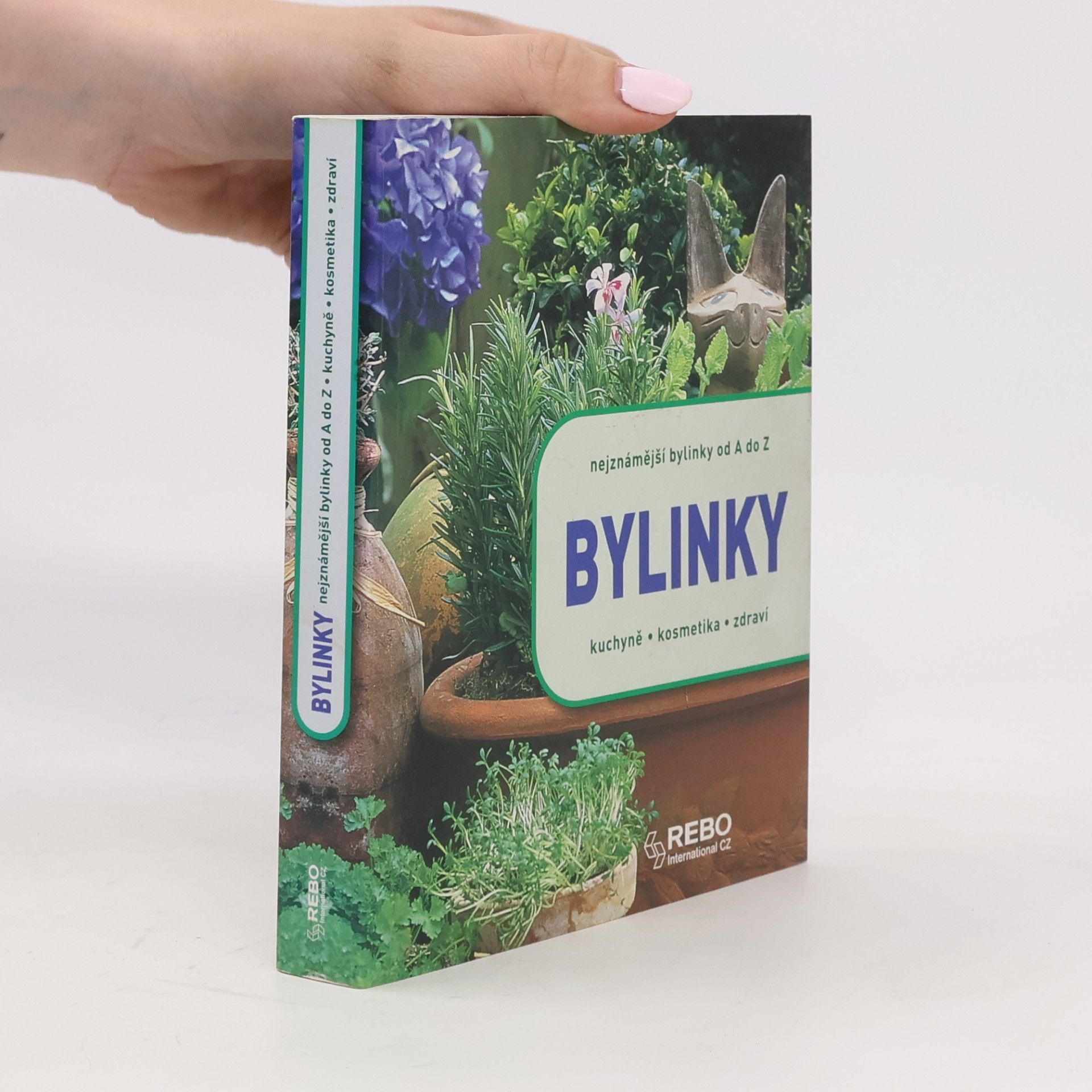 Andrea Rausch Bylinky : nejznámější bylinky od A do Z : kuchyně, kosmetika, zdraví