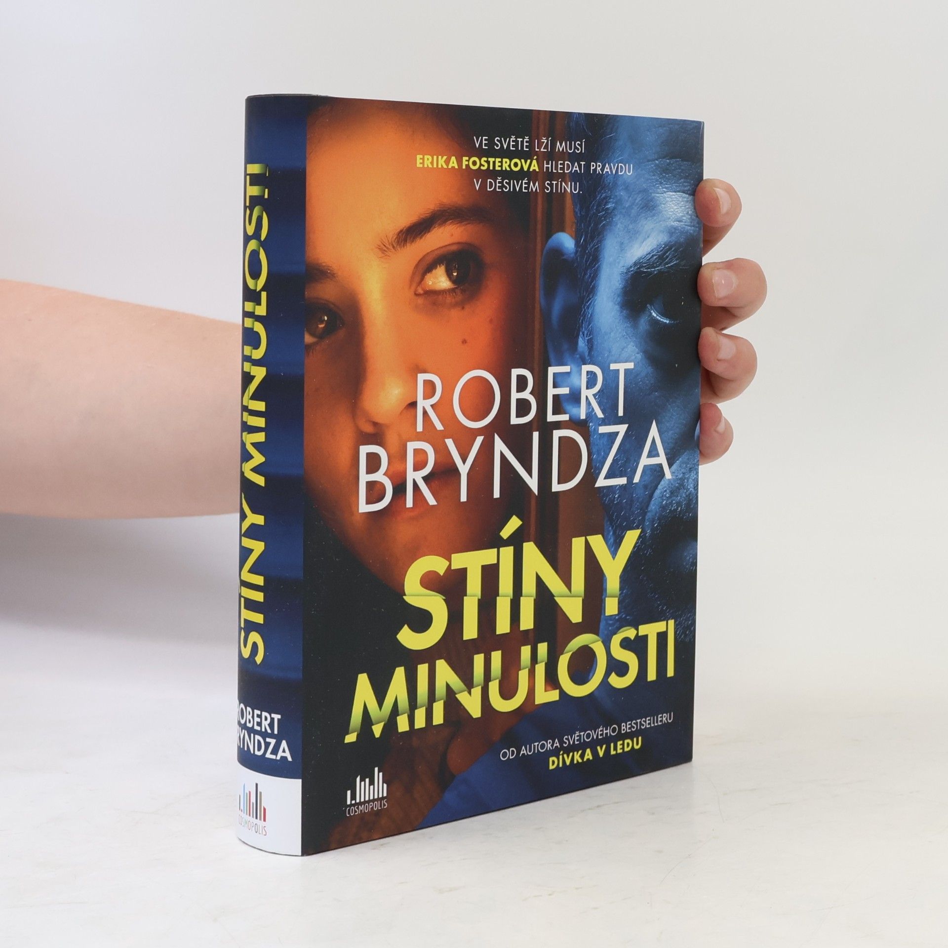 Robert Bryndza Stíny minulosti