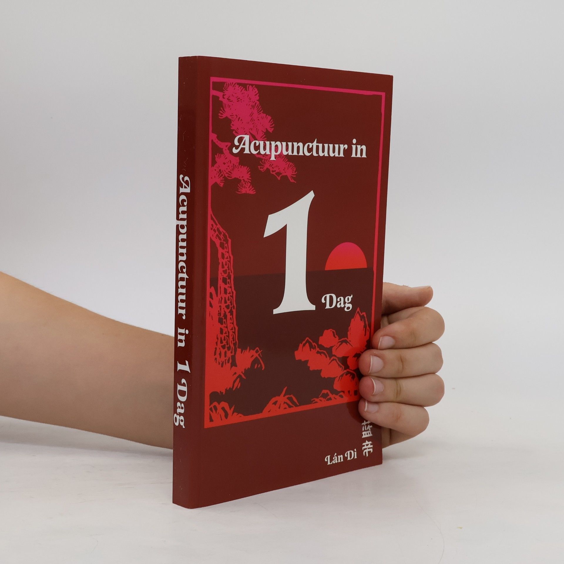 蓝迪 Acupunctuur in 1 Dag