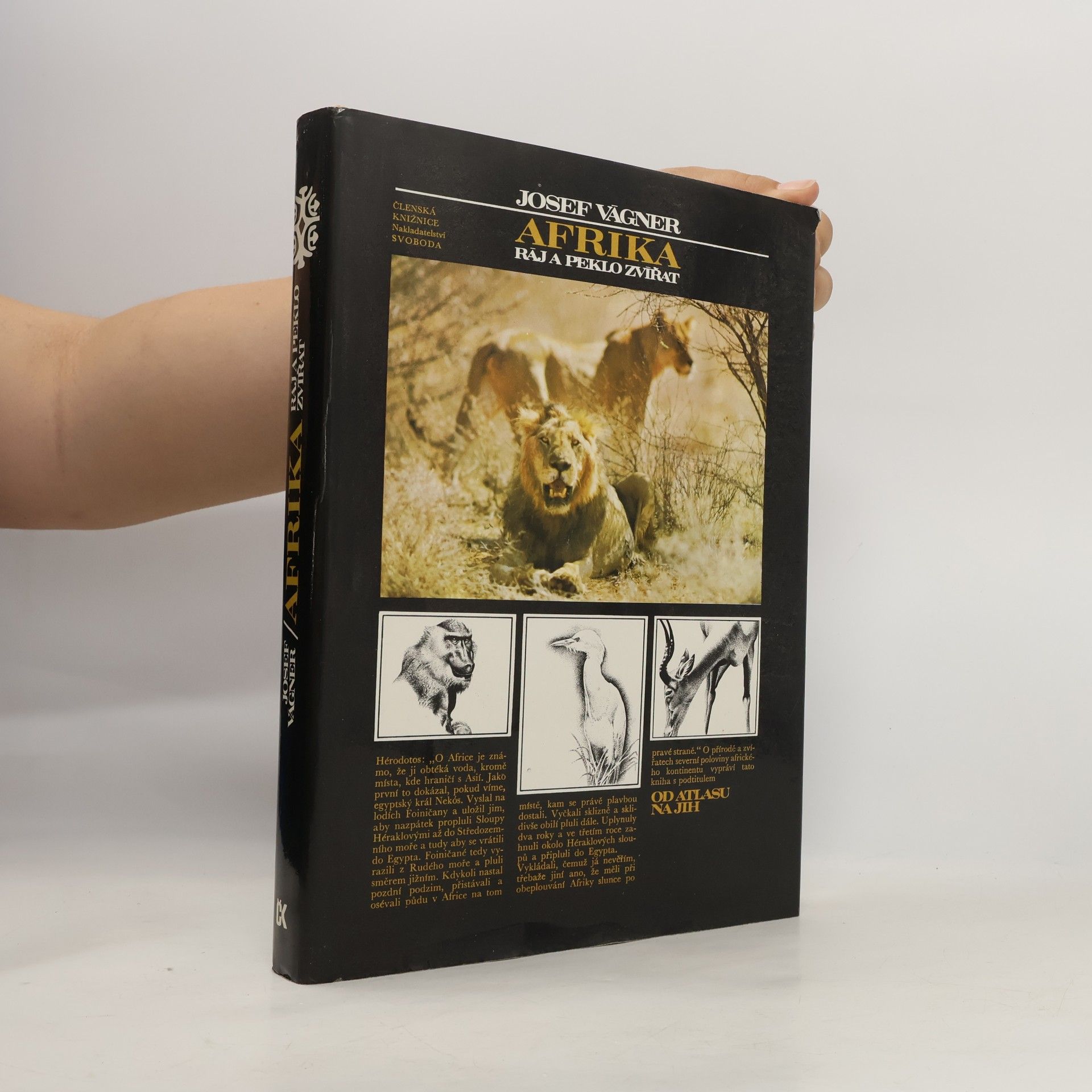 Afrika. Ráj a peklo zvířat