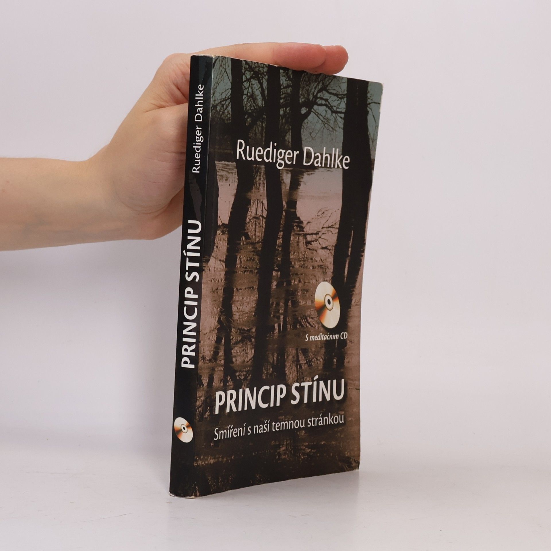 Ruediger Dahlke Princip stínu: Smíření s naší temnou stránkou
