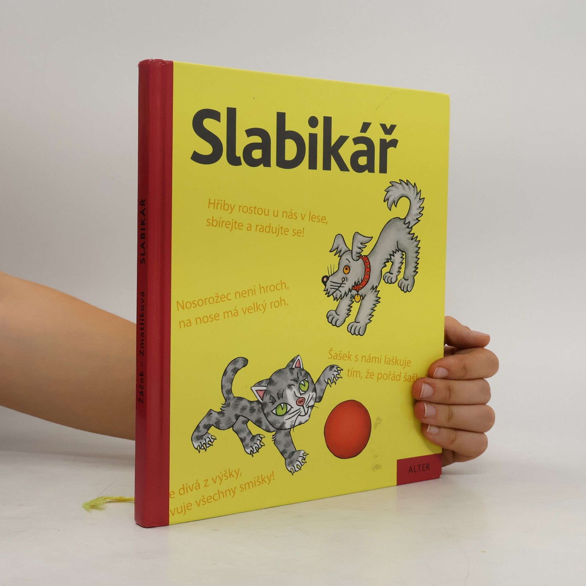 Jiří Žáček Slabikář : učebnice pro vzdělávací obor Český jazyk a literatura