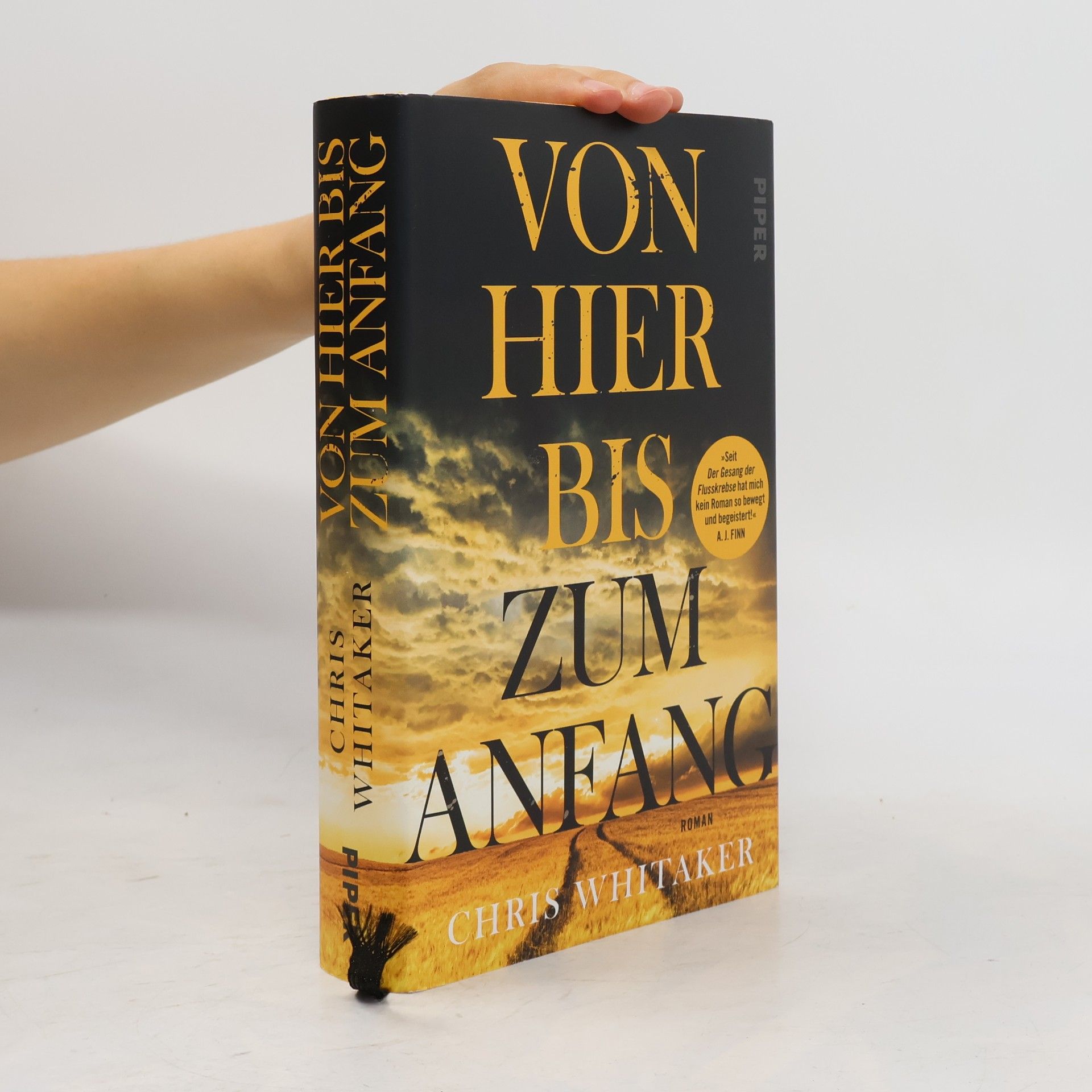 Chris Whitaker Von hier bis zum anfang