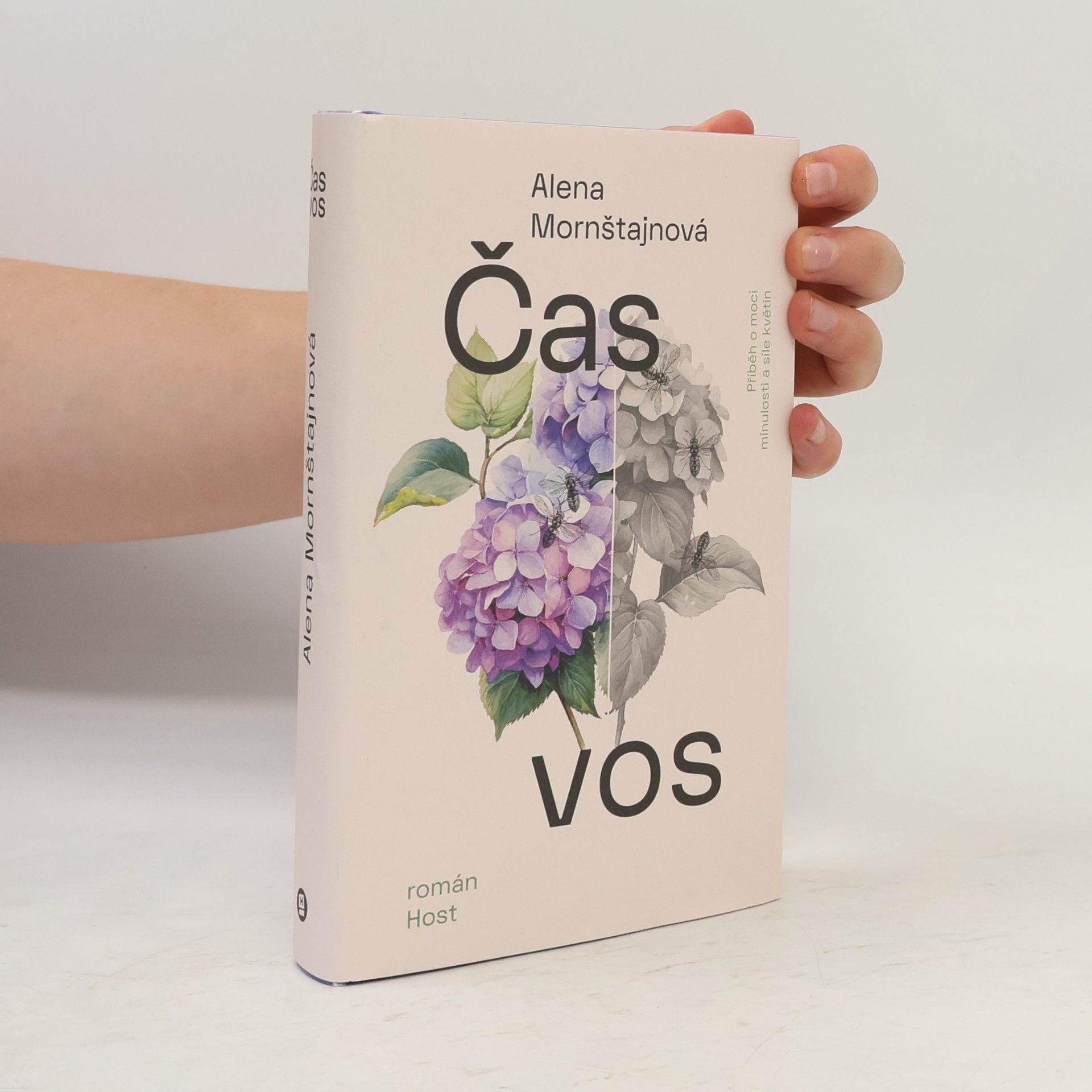 Alena Mornštajnová Čas vos
