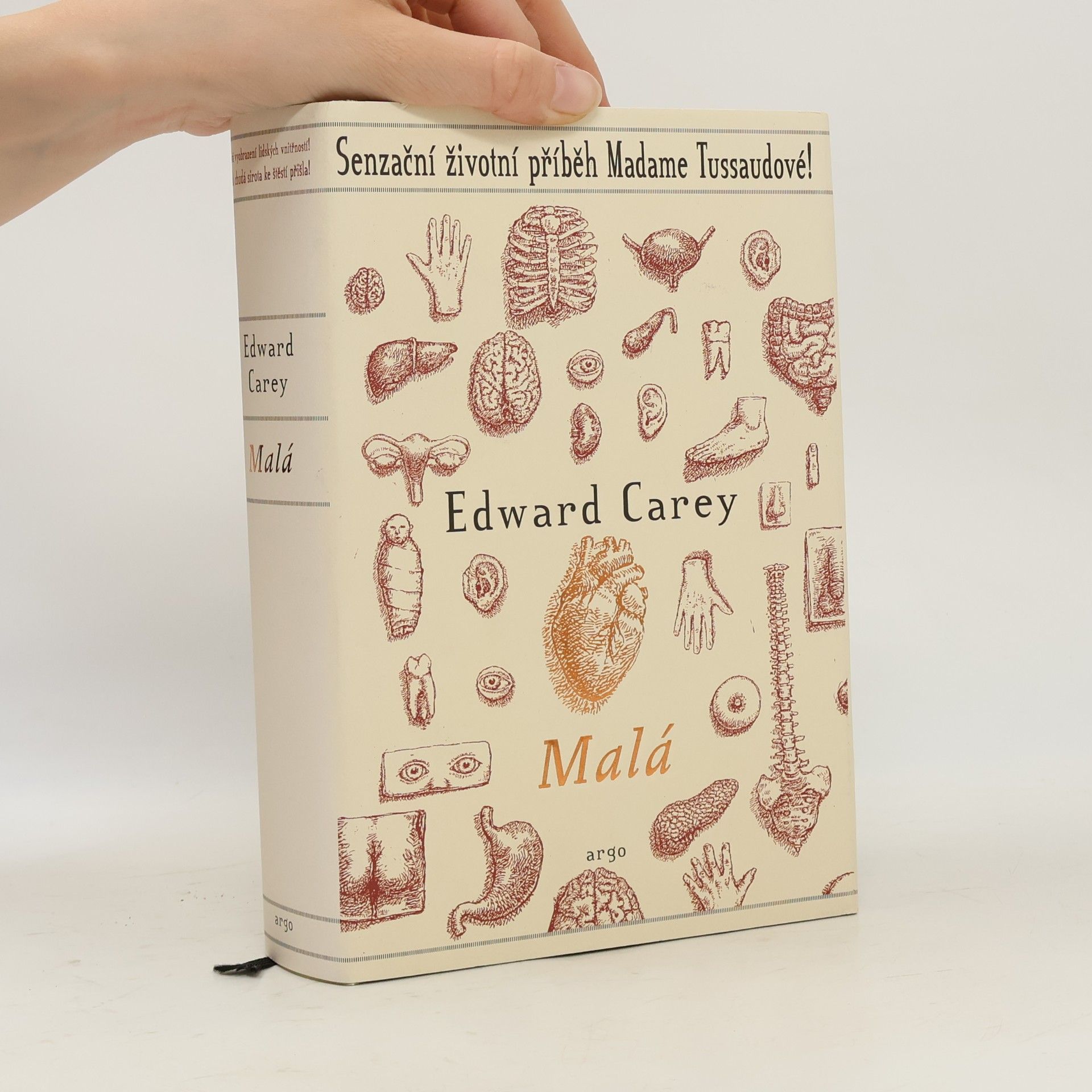 Edward Carey Malá