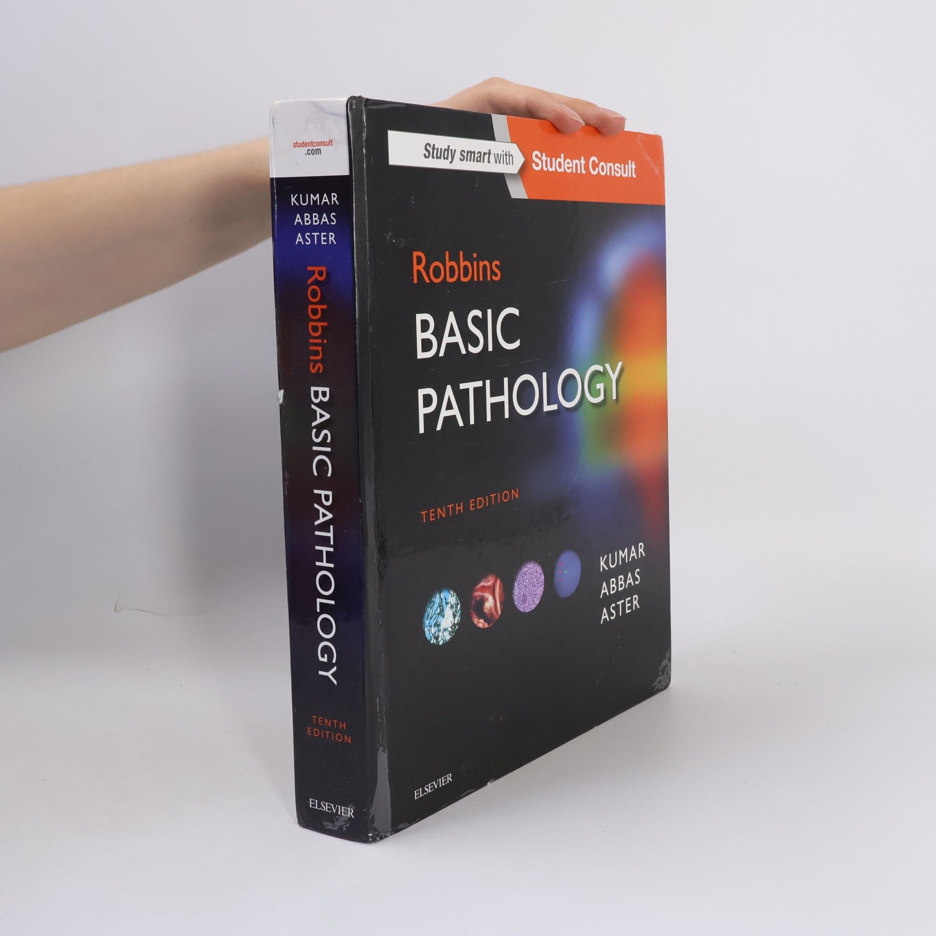 Viay Kumar Robbins Basic Pathology