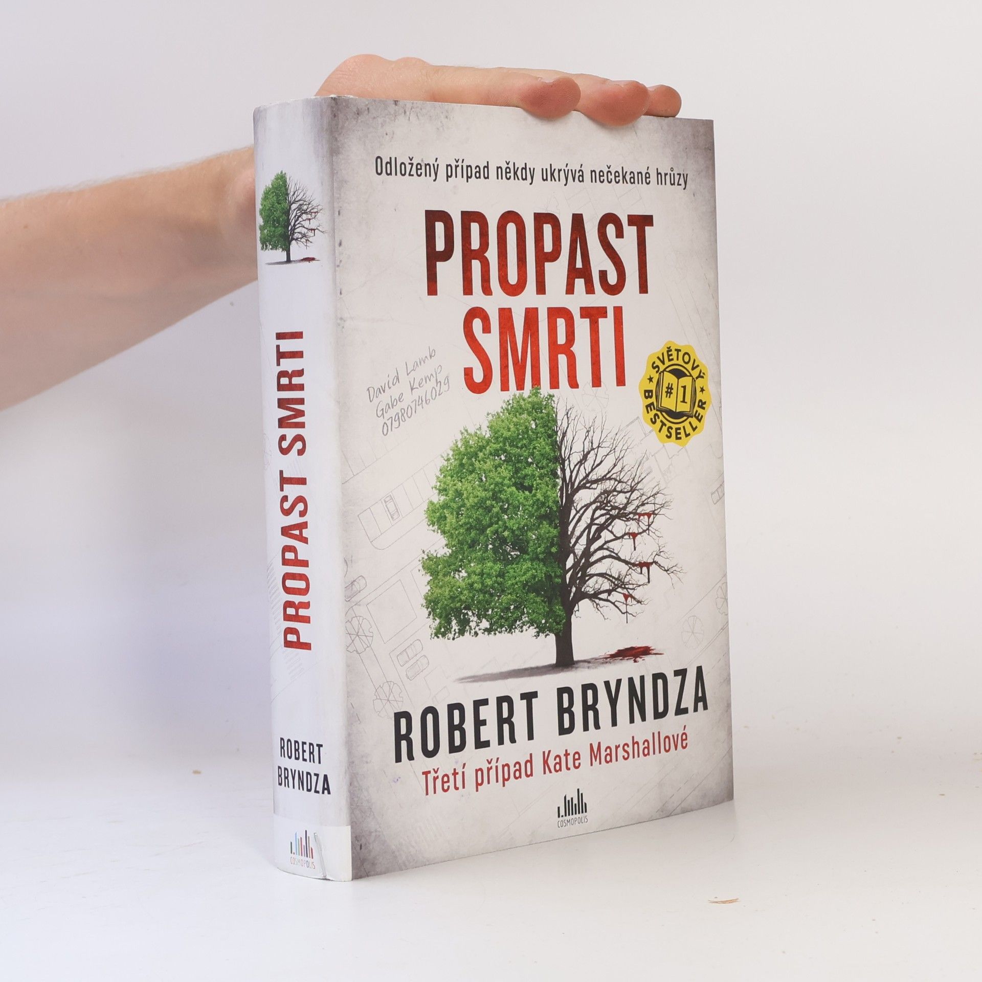 Robert Bryndza Propast smrti