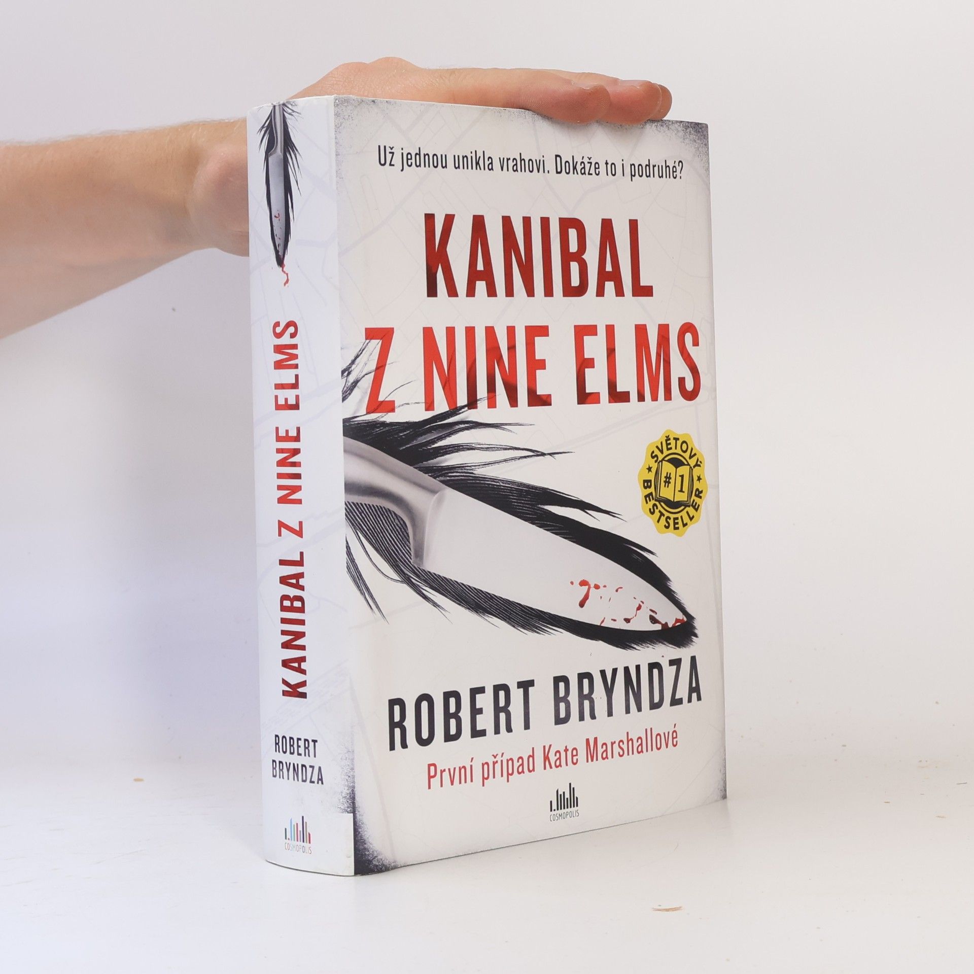 Robert Bryndza Kanibal z Nine Elms