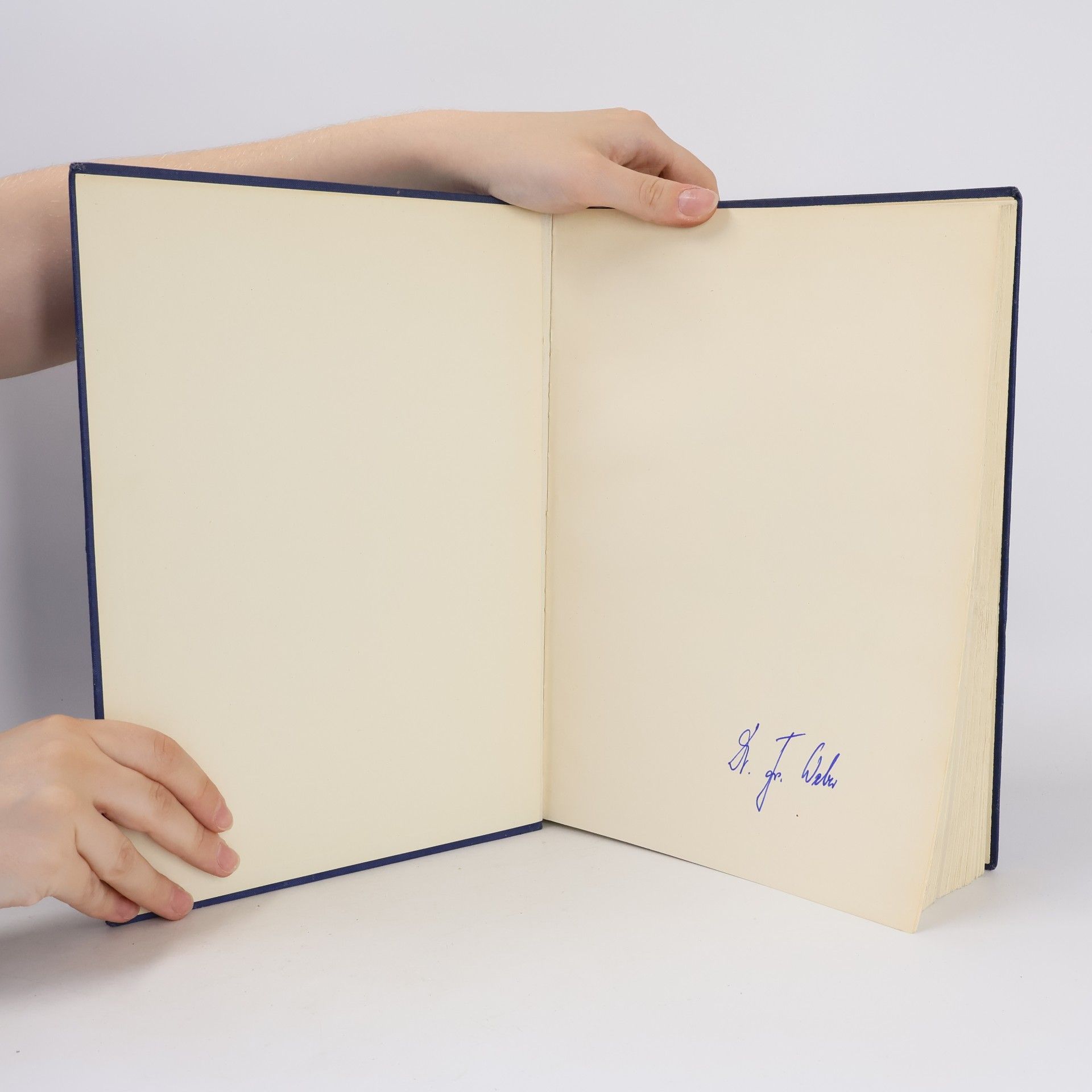 Erich Wachs Atlas der Operativen Chrirugie
