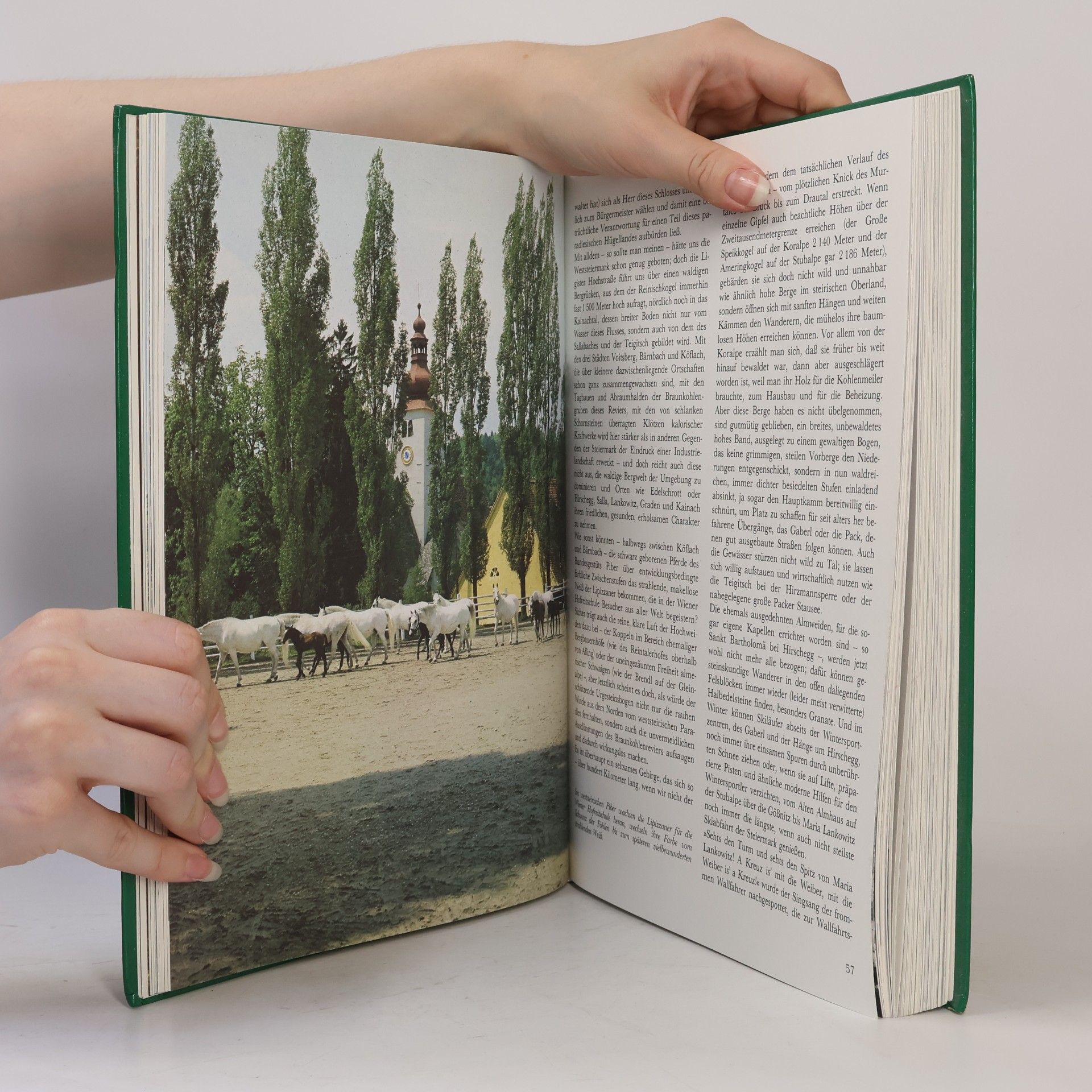 Walter Zitzenbacher Das grosse Steiermarkbuch