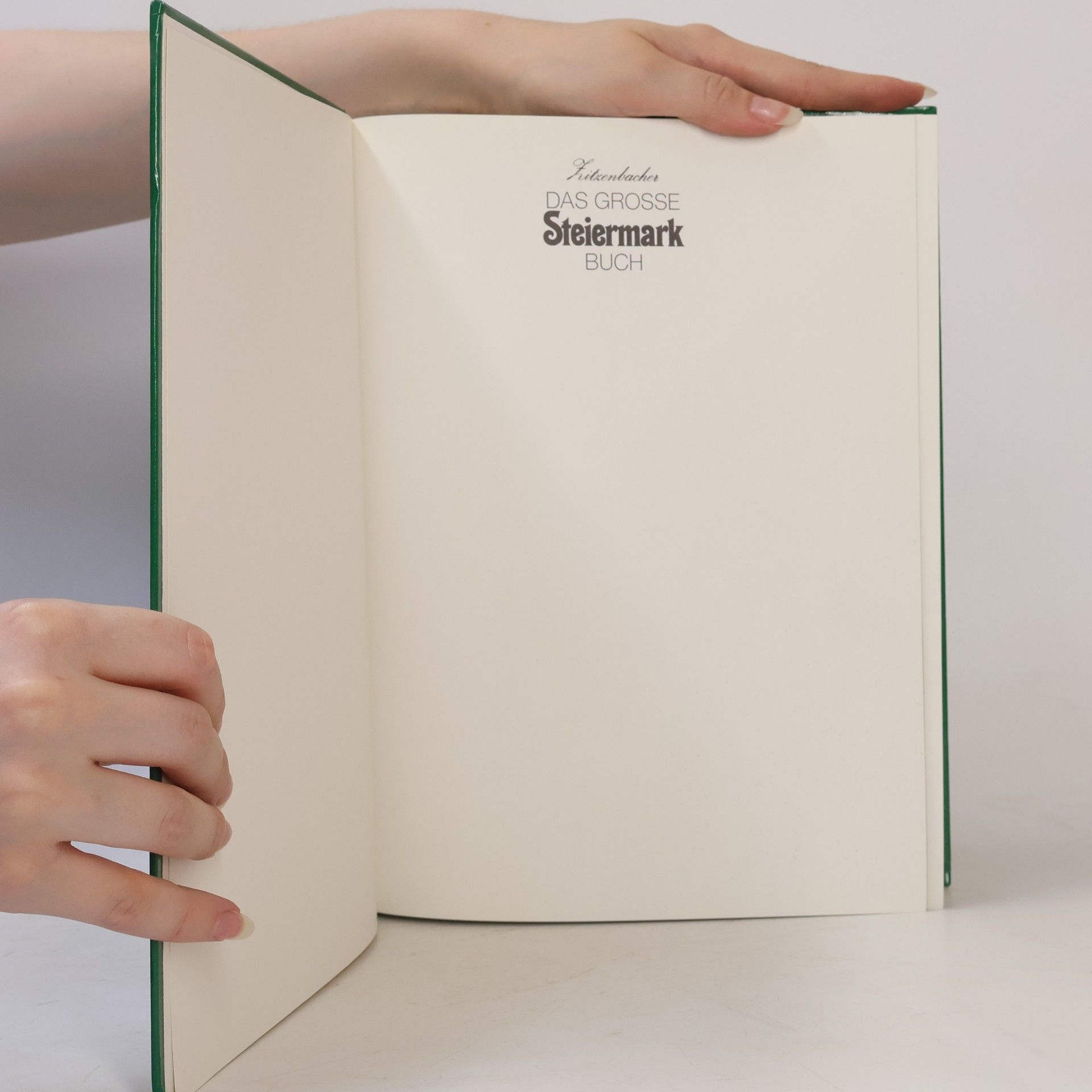 Walter Zitzenbacher Das grosse Steiermarkbuch