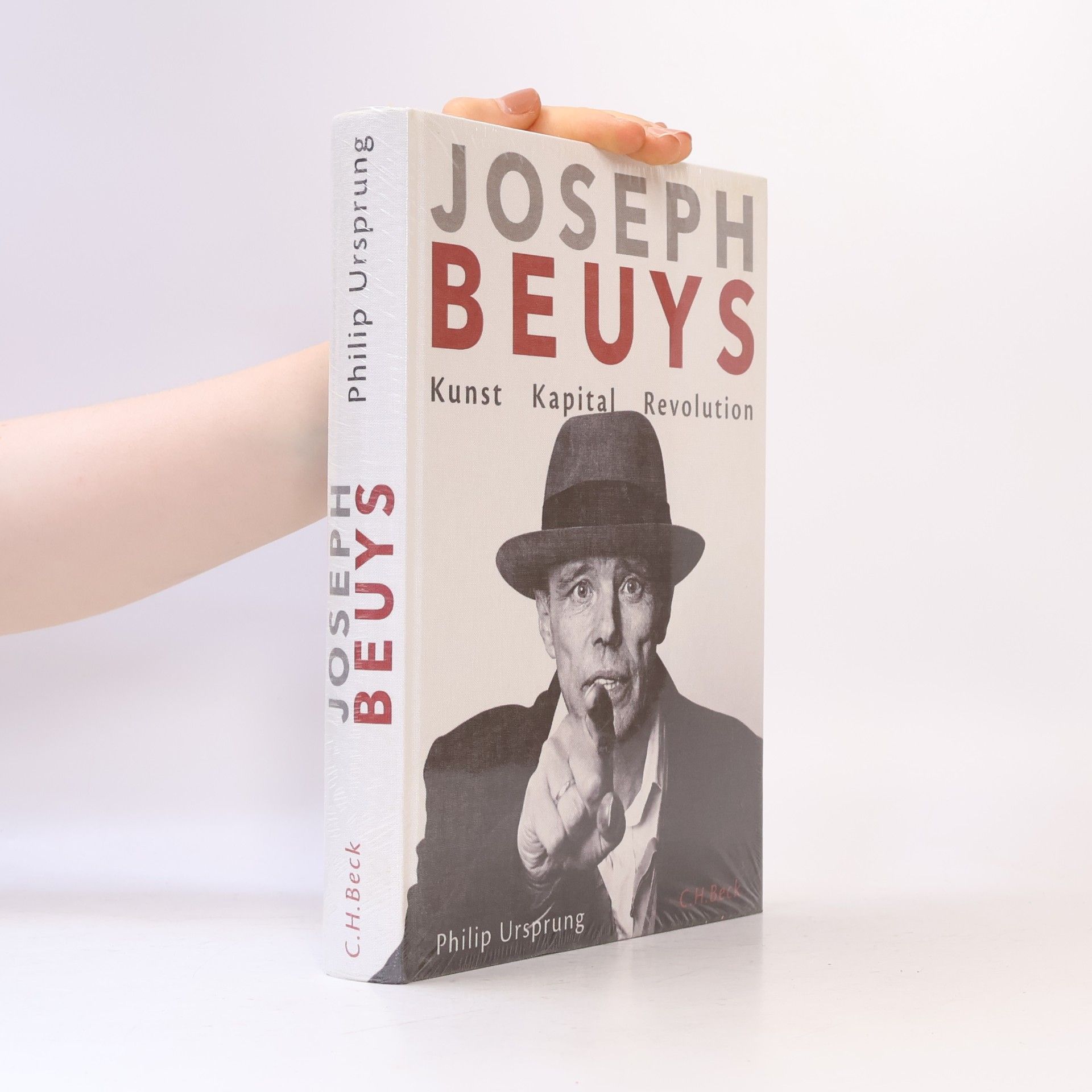 Philip Ursprung Joseph Beuys