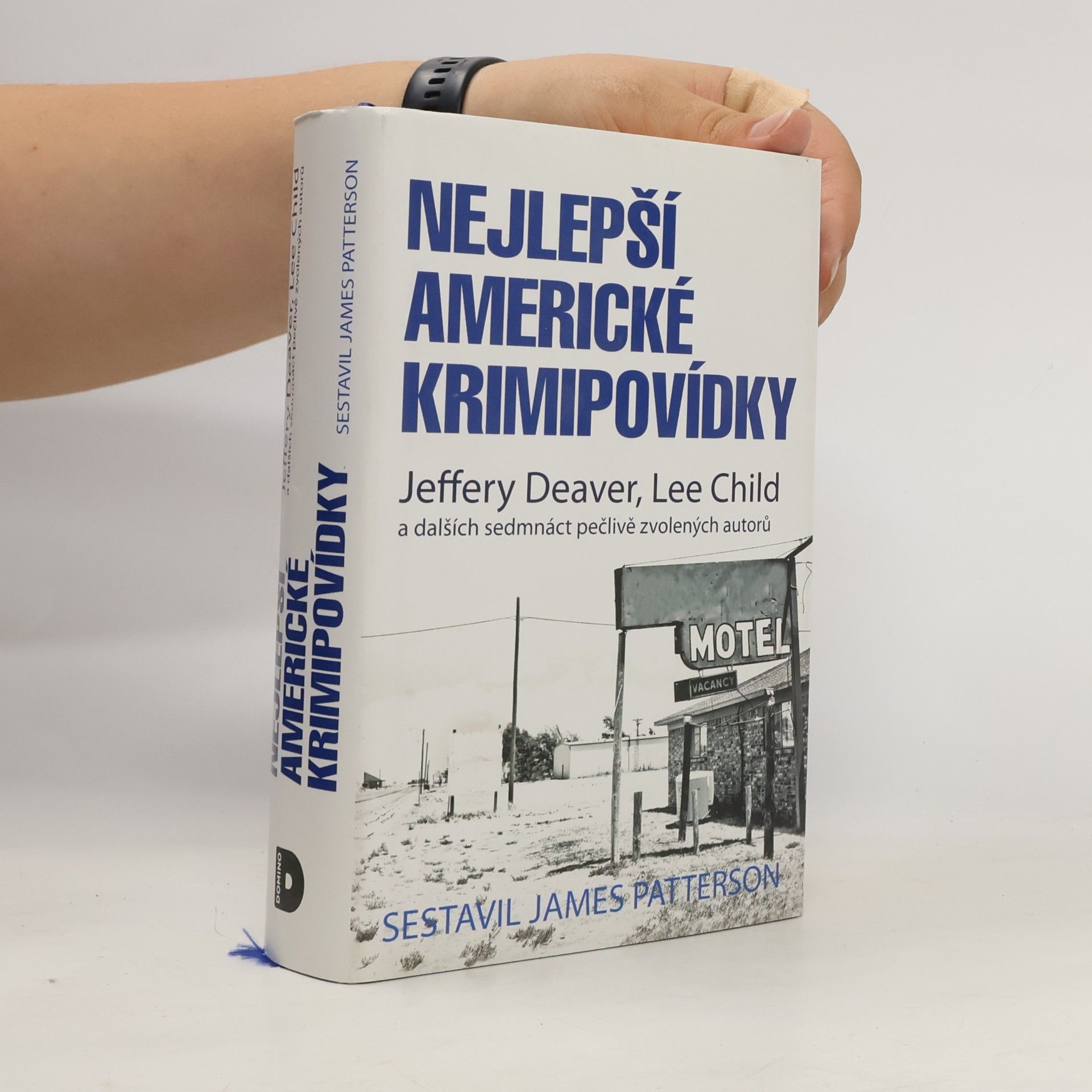 James Patterson Nejlepší americké krimipovídky