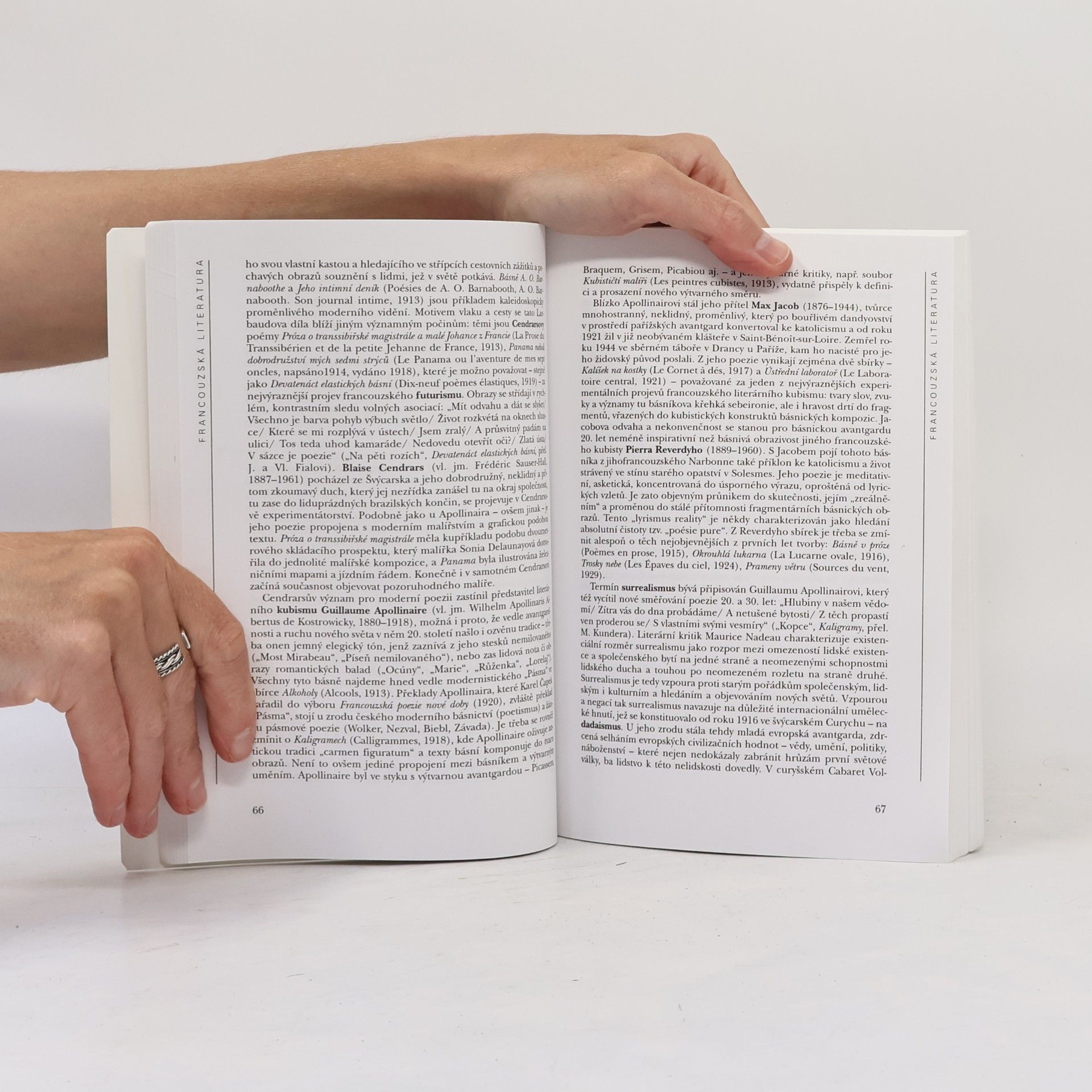 Autorenkollektiv Světové literatury 20. století v kostce : americká, britská, francouzská, italská, Latinské Ameriky, německá, ruská, španělská
