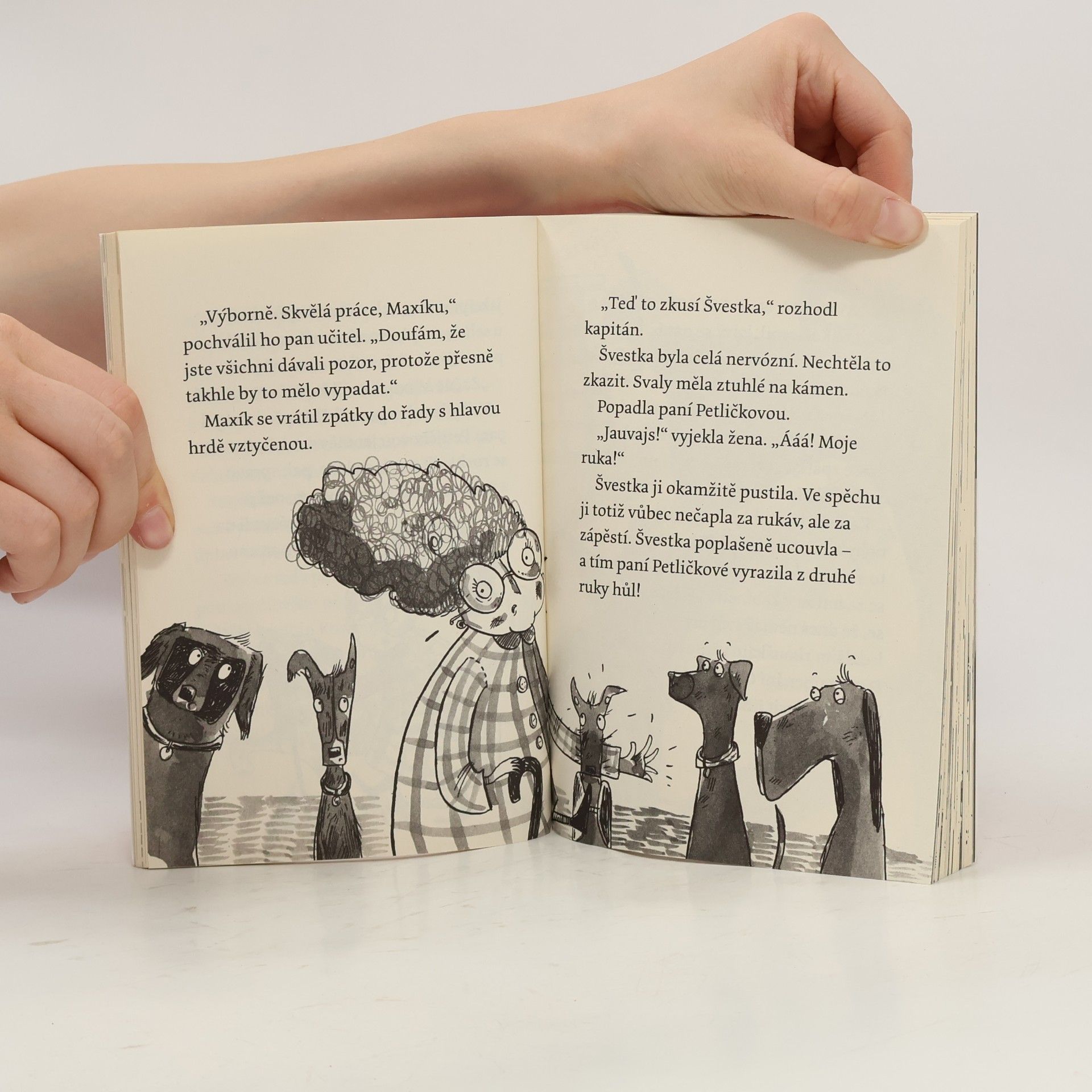Gill Lewis Špekáčkova psí akademie. Švestka a zloděj klobásek
