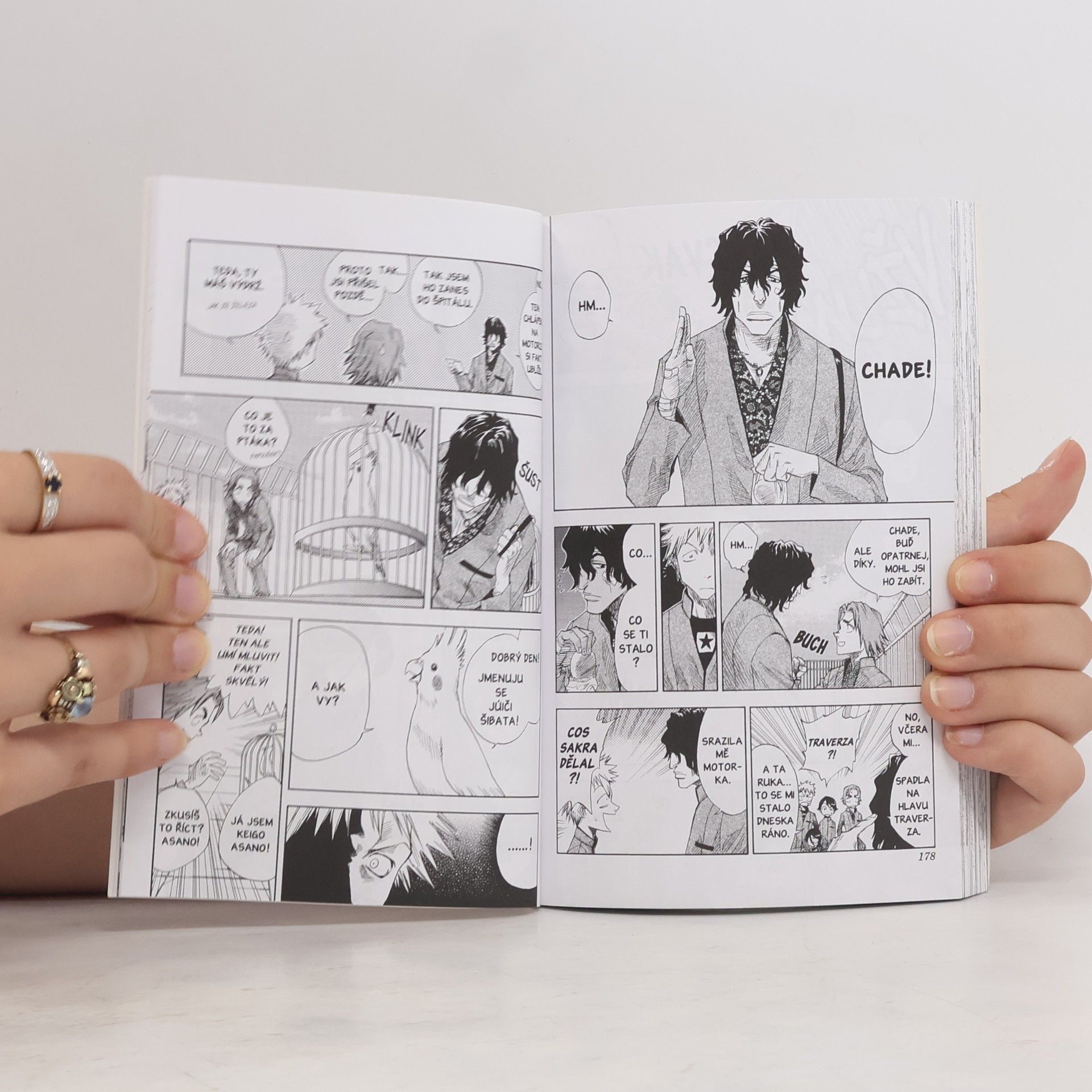 Tite Kubo Bleach. 1, The Death and the Strawberry