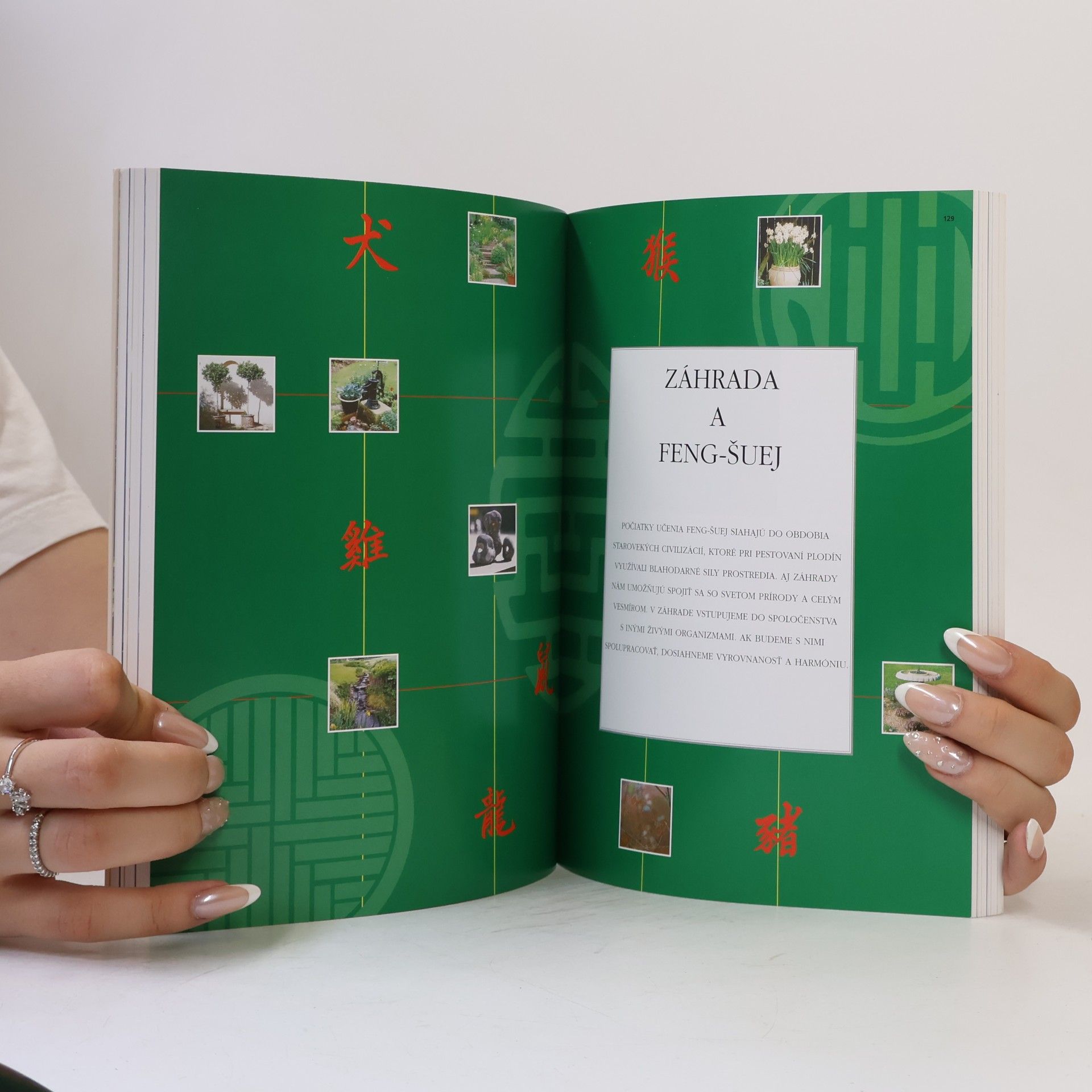 Gill Hale Feng - šuej - praktická príručka