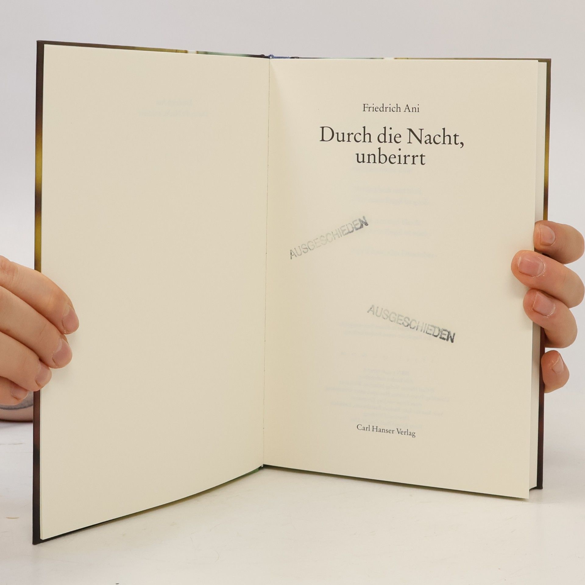 Friedrich Ani Durch die Nacht, unbeirrt