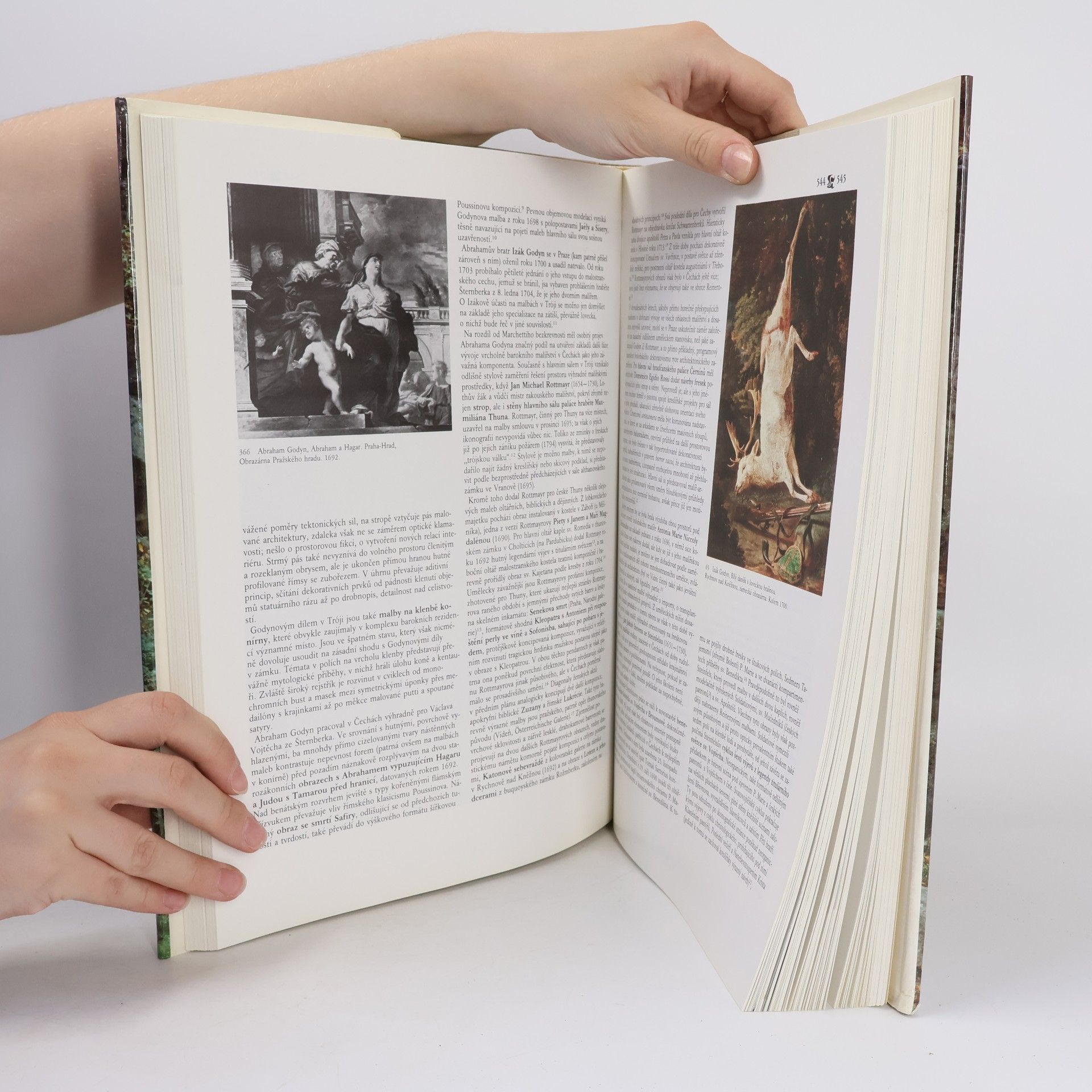 Autores varios Dějiny českého výtvarného umění II/2