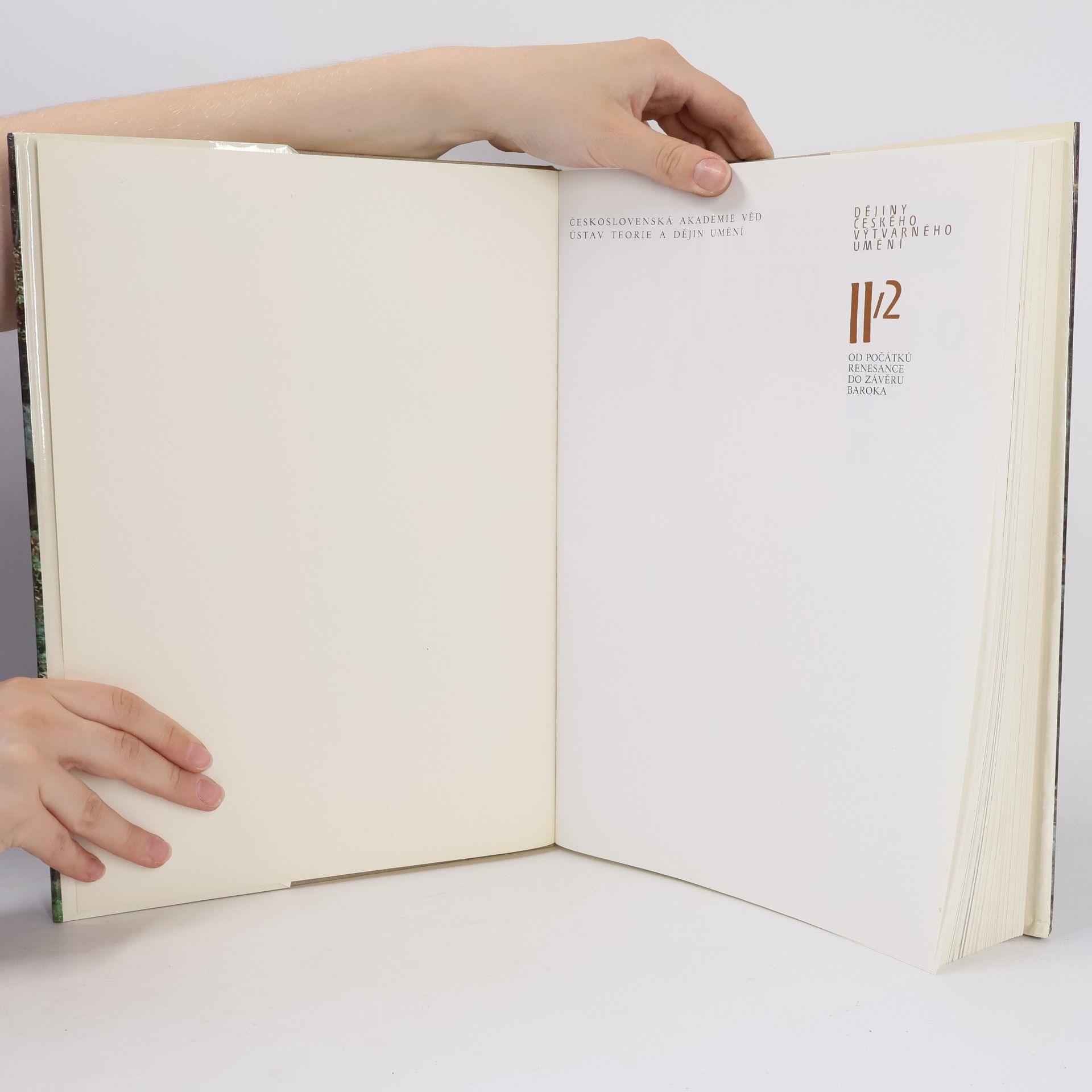 Autores varios Dějiny českého výtvarného umění II/2