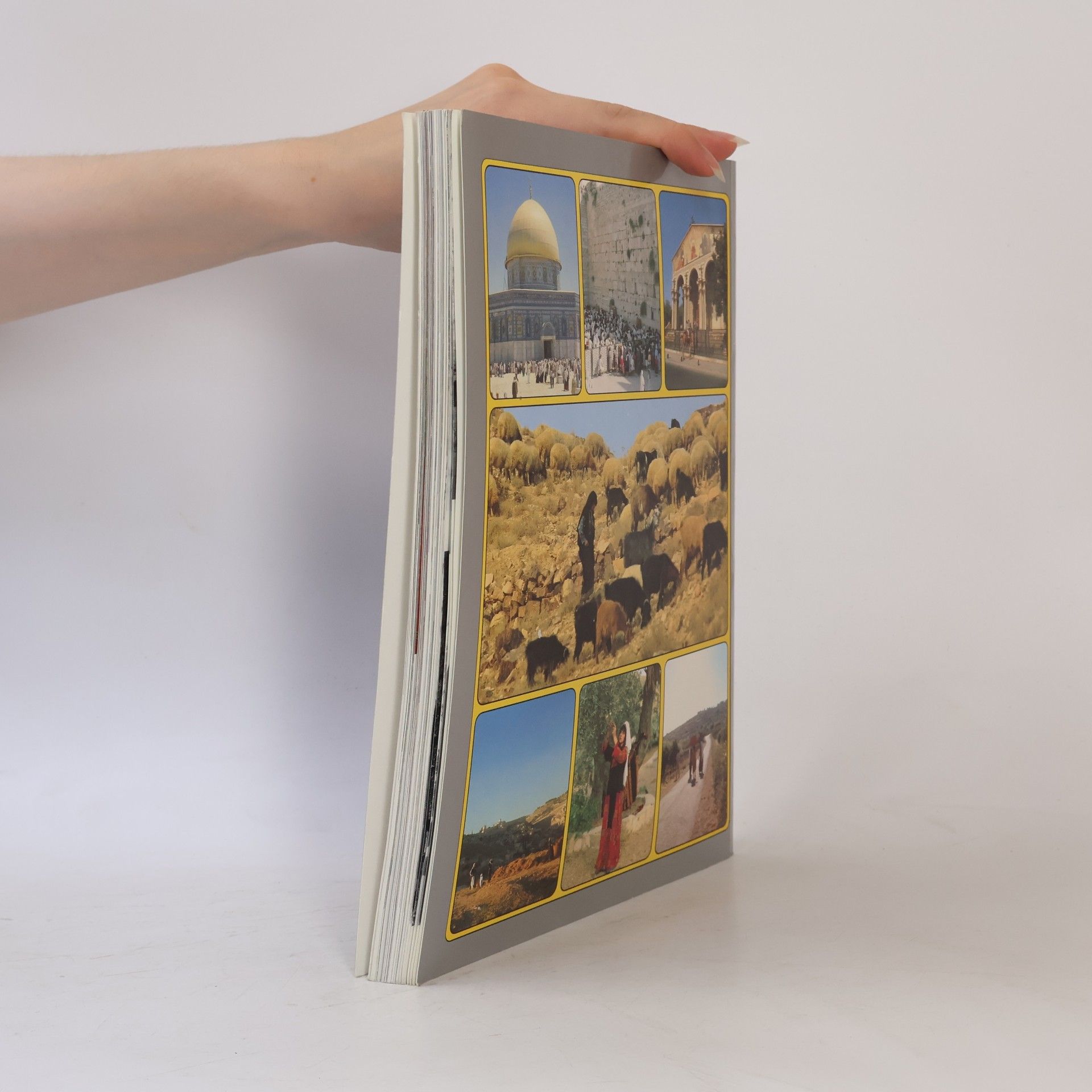 Sami Awwad Das heilige Land in Wort und Bild
