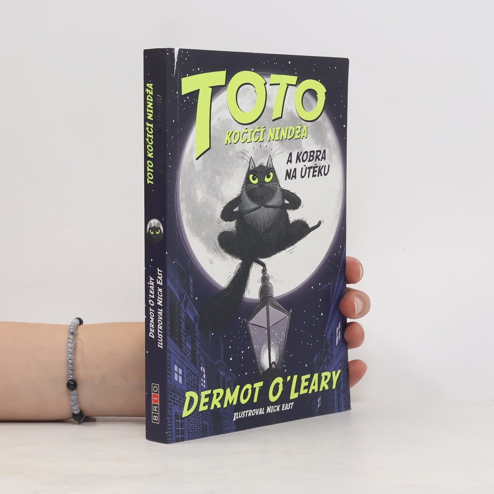 Dermot O\'Leary Toto kočičí nindža a kobra na útěku