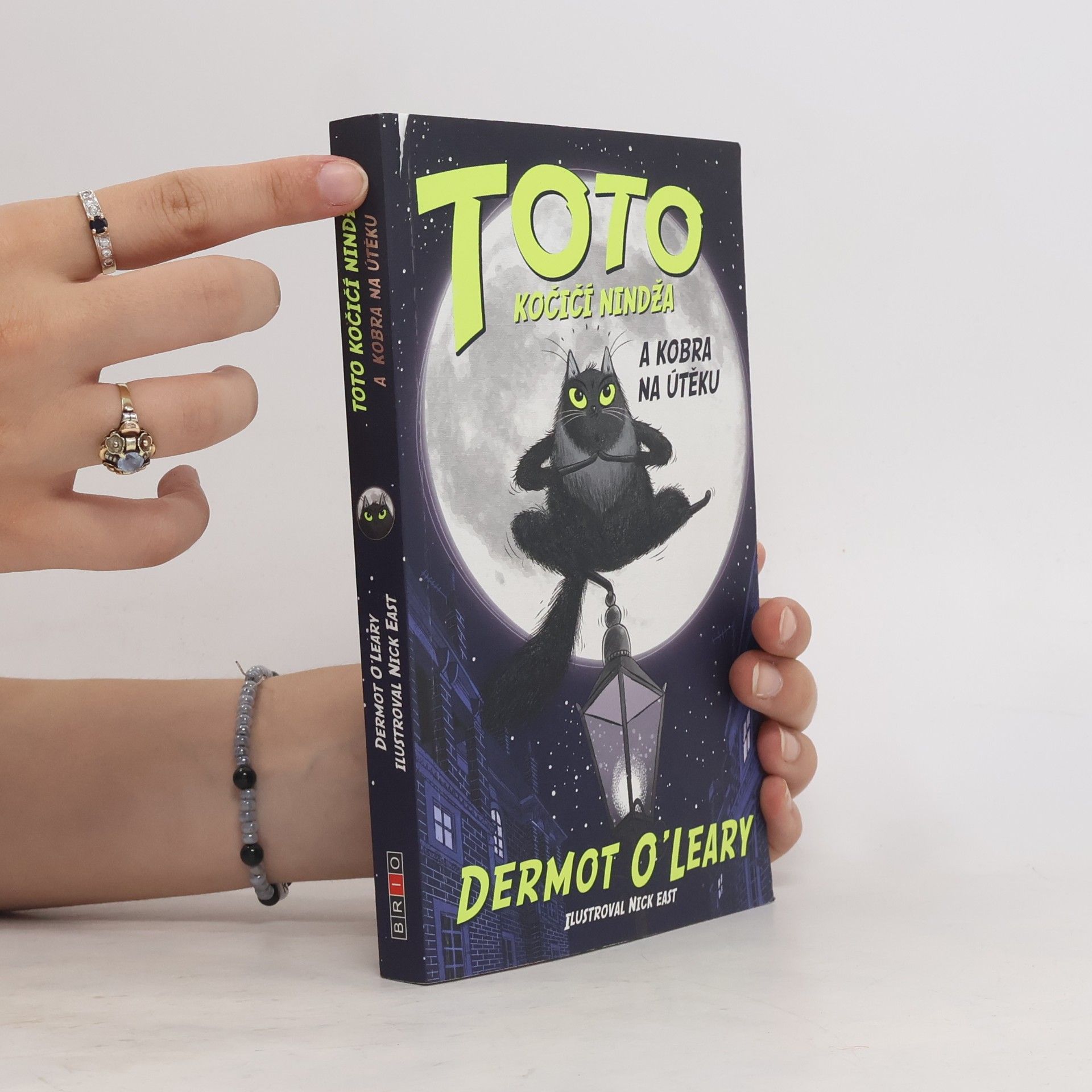 Dermot O\'Leary Toto kočičí nindža a kobra na útěku