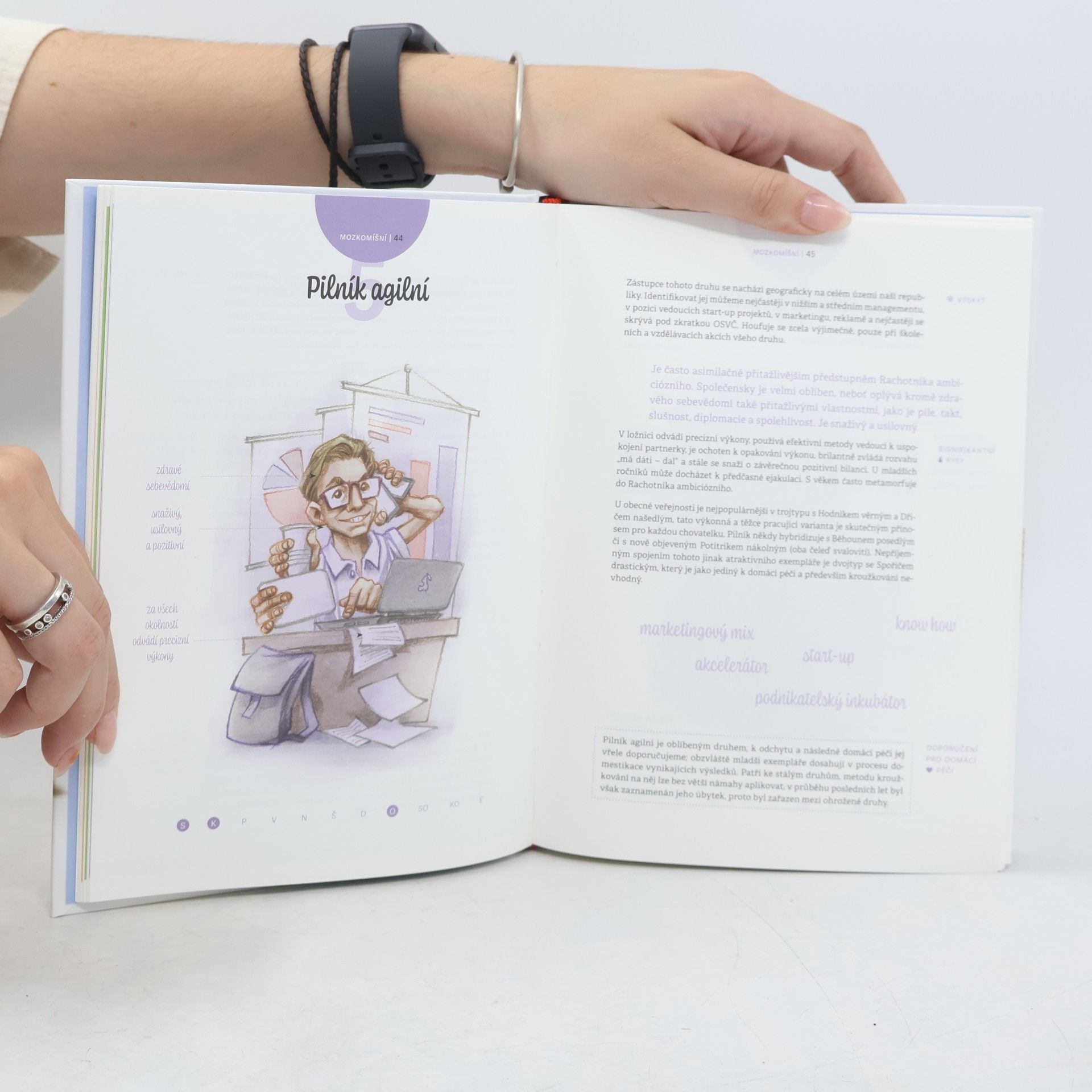 Sylva Lauerová Experimentální atlas mužů